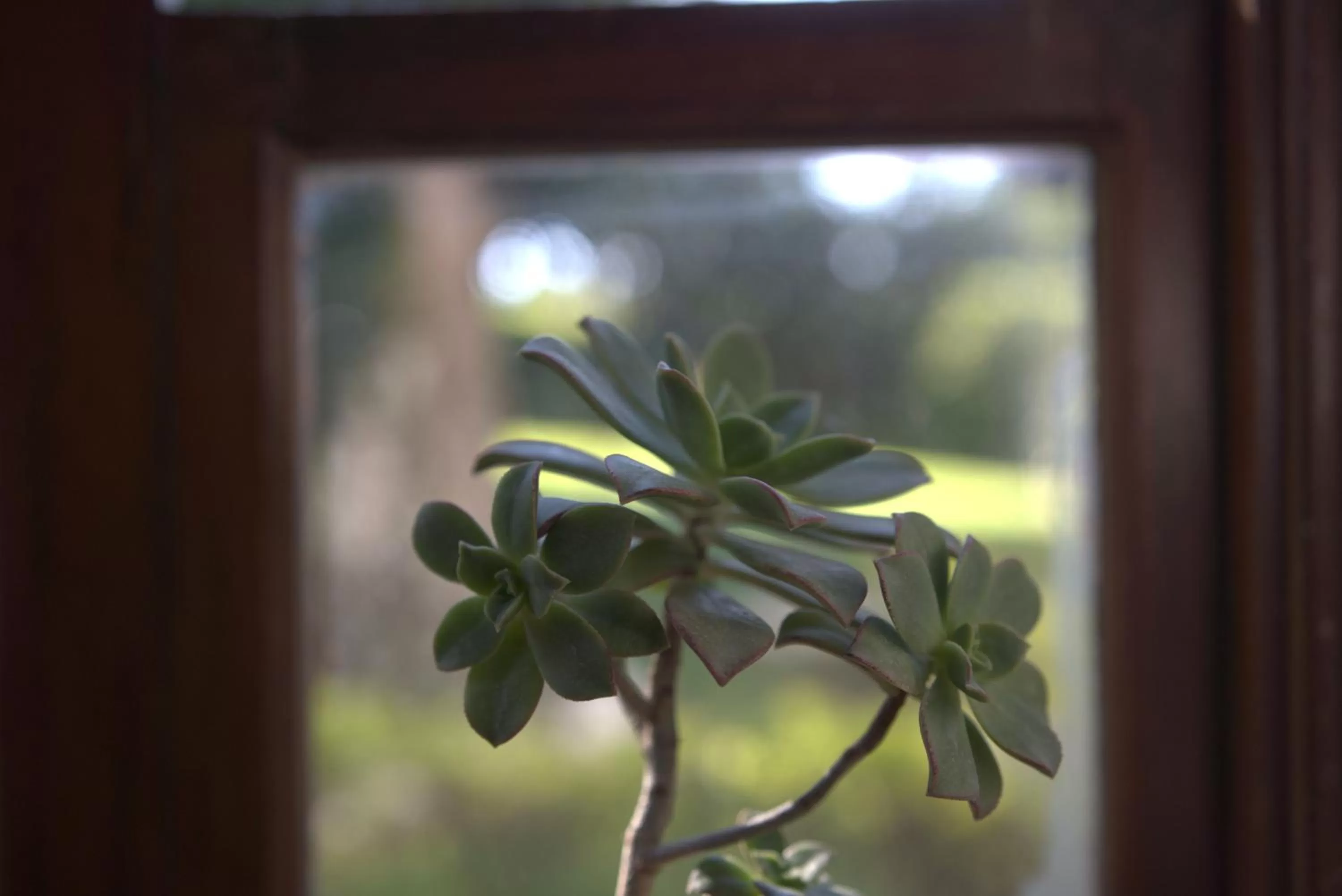 Decorative detail in Hotel Chalet El Castillo by Majuva