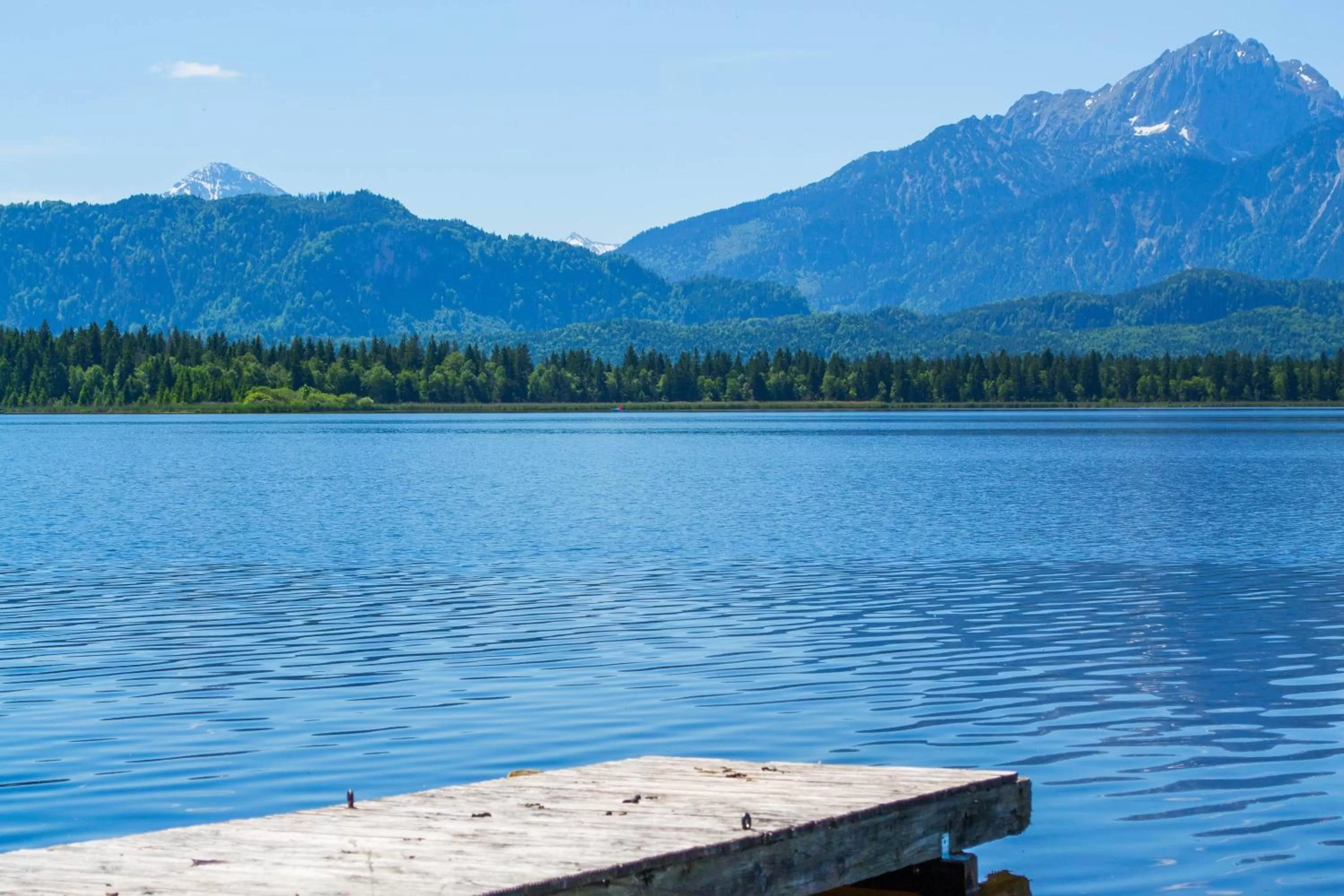 View (from property/room), Mountain View in Residenz Hopfensee