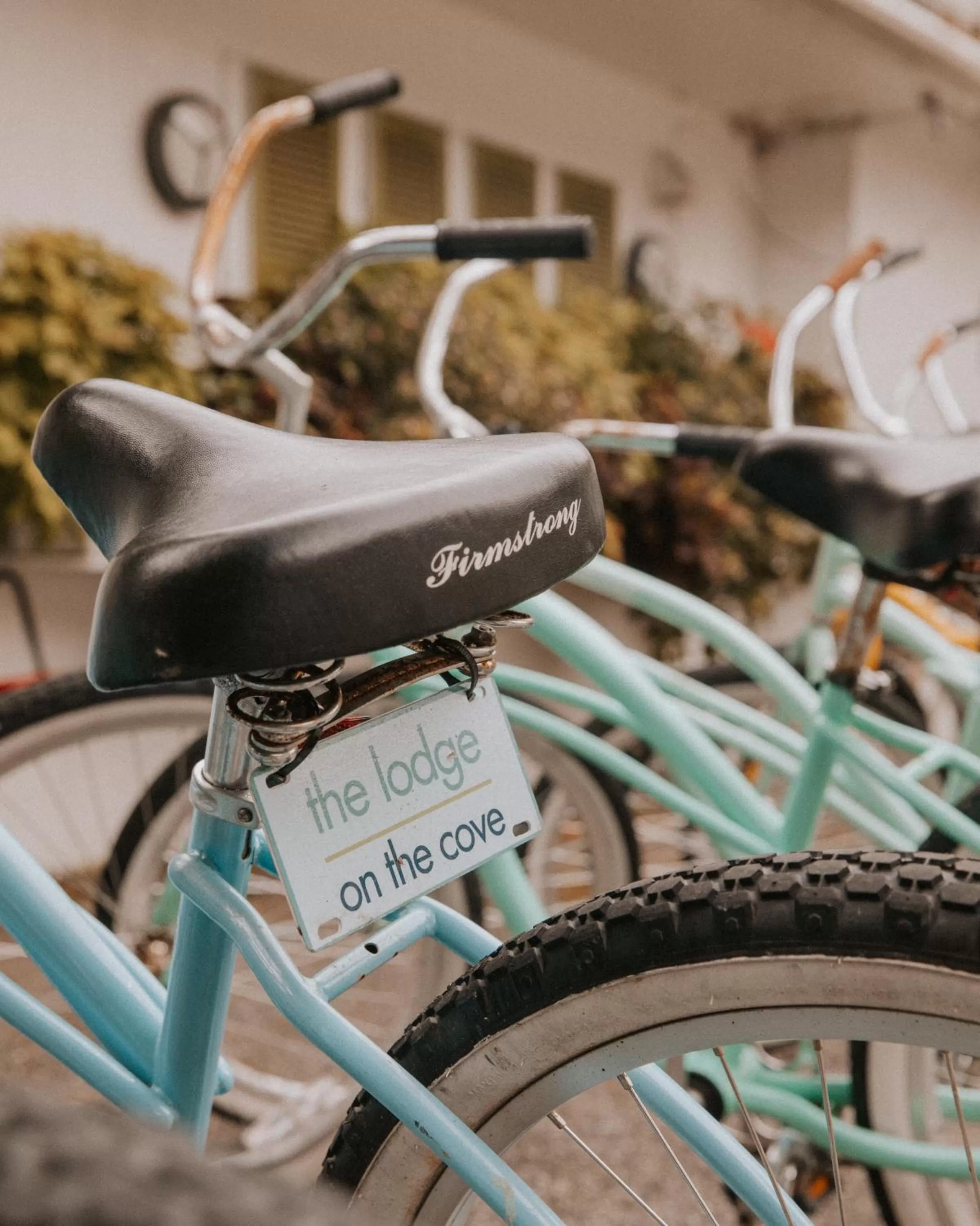 Activities in The Lodge on the Cove