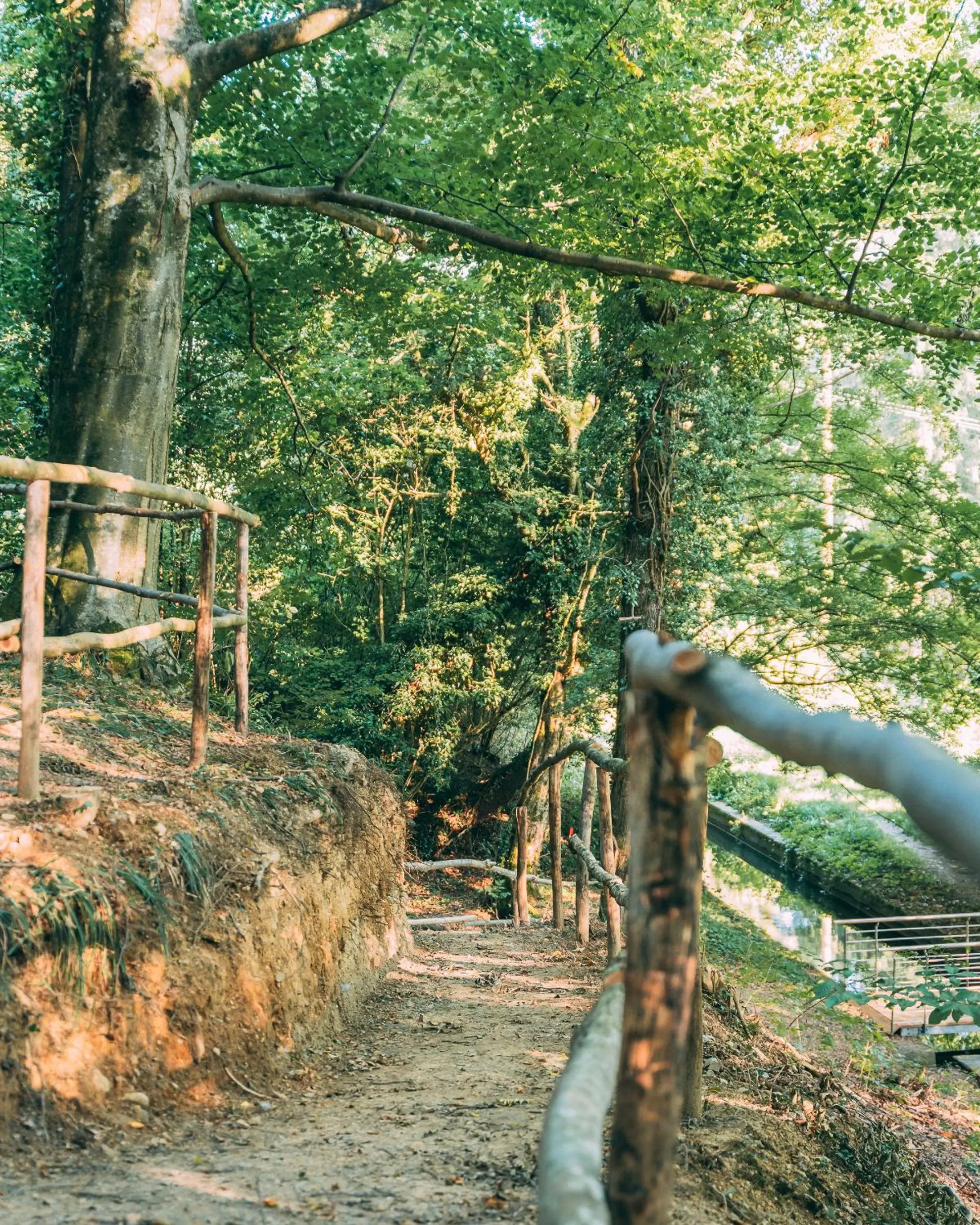 Hiking in Gut Hügle Erlebnishof & Spa