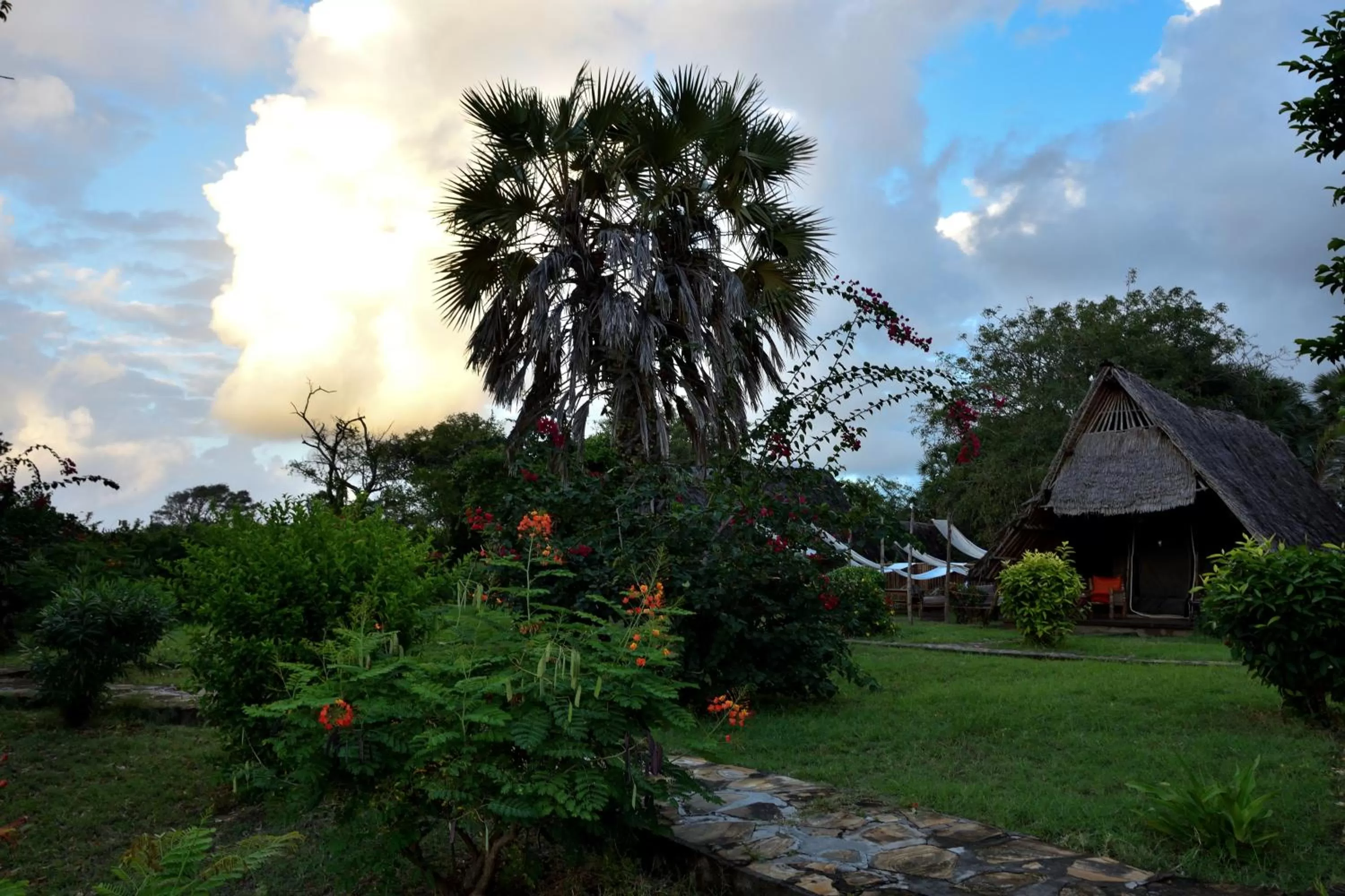 Garden, Property Building in Bahari Pori Resort