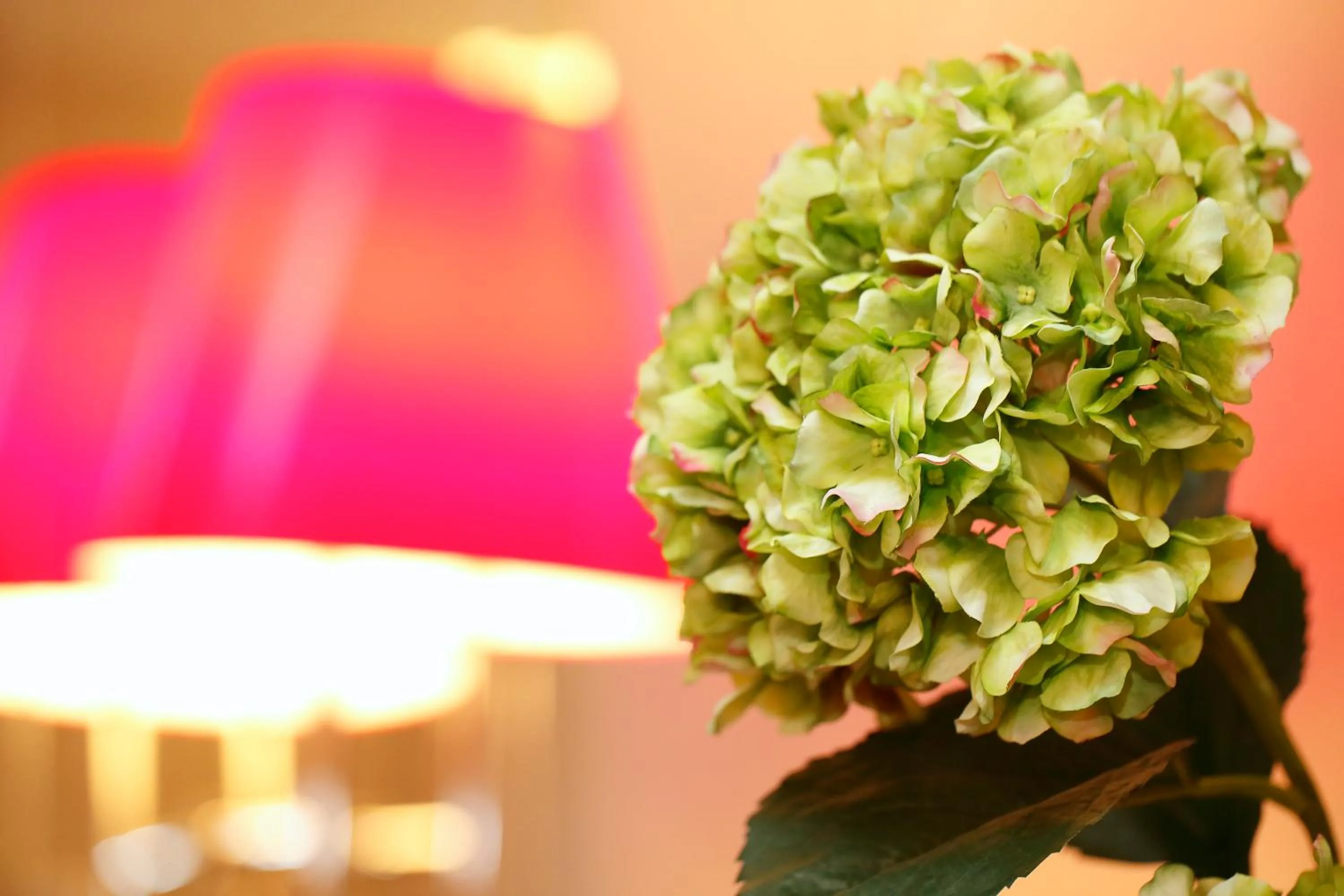 Decorative detail in Tullia&Prisca Relais