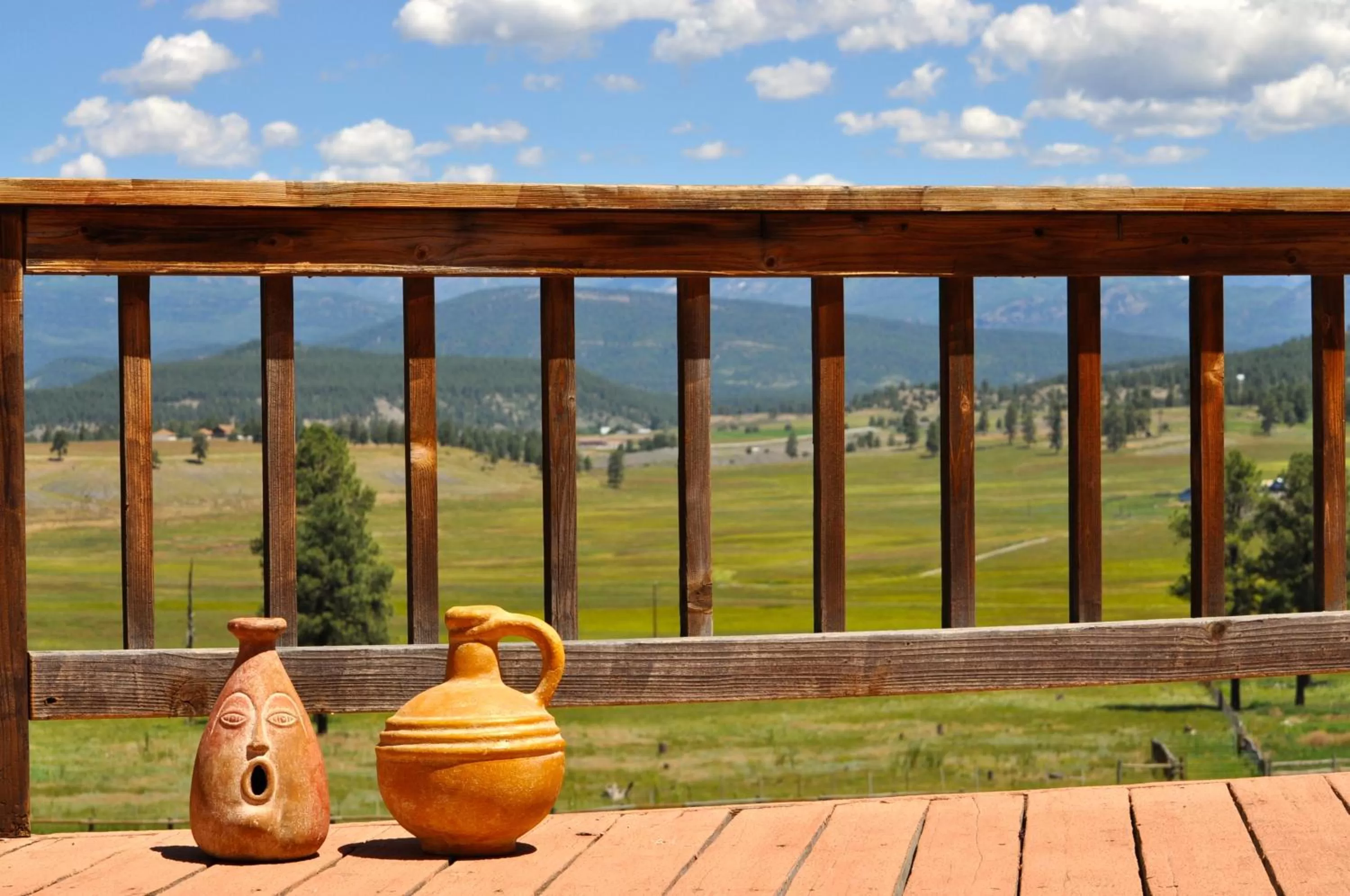 Balcony/Terrace in Elkwood Manor Bed & Breakfast