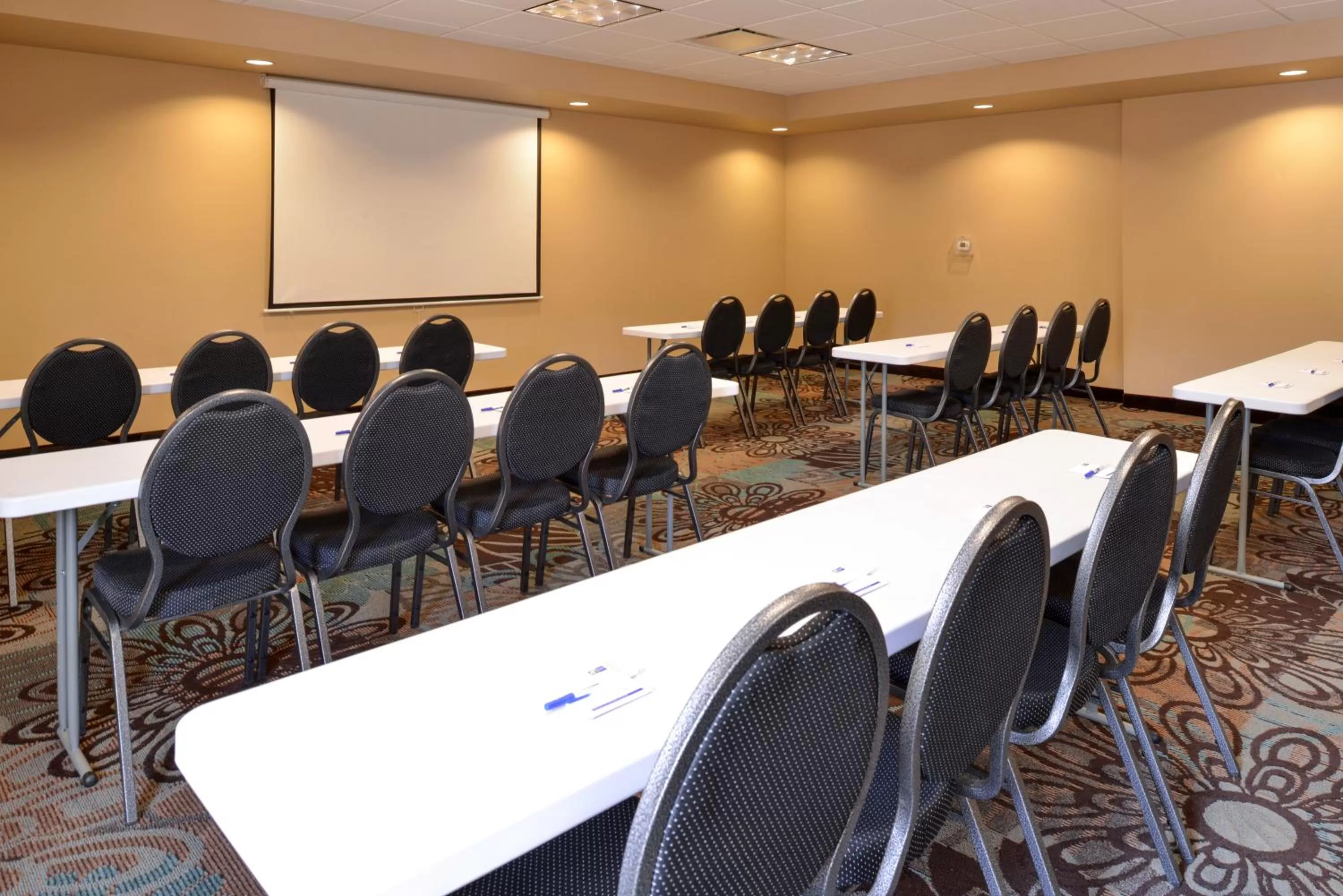 Meeting/conference room in Holiday Inn Express & Suites Globe by IHG