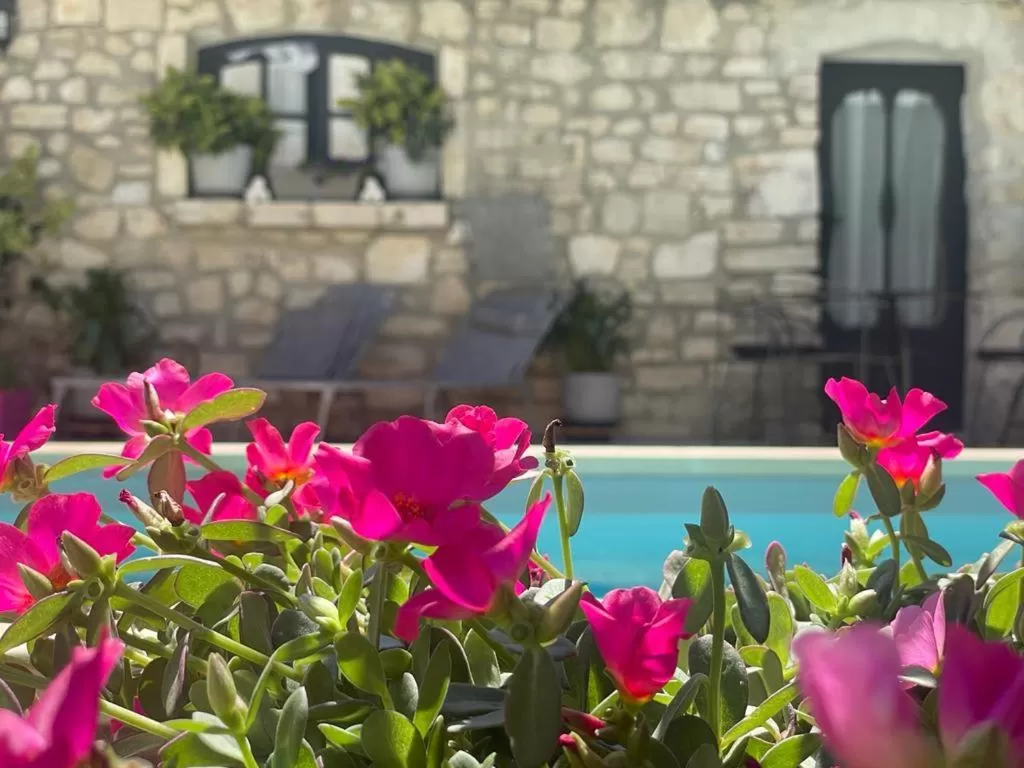 Garden in Maison d'hôtes Payan Champier