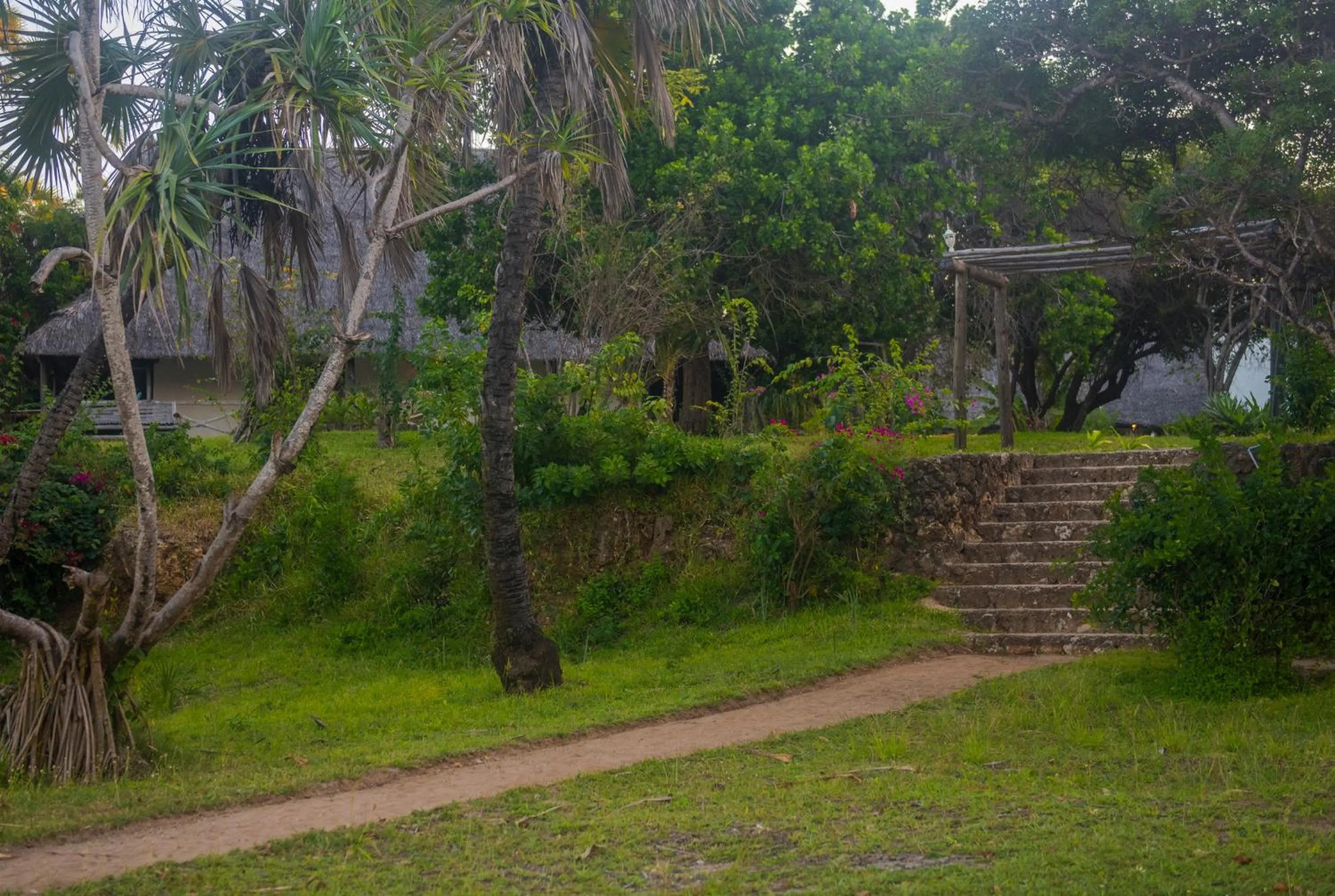 Garden view in Amani Beach Resort