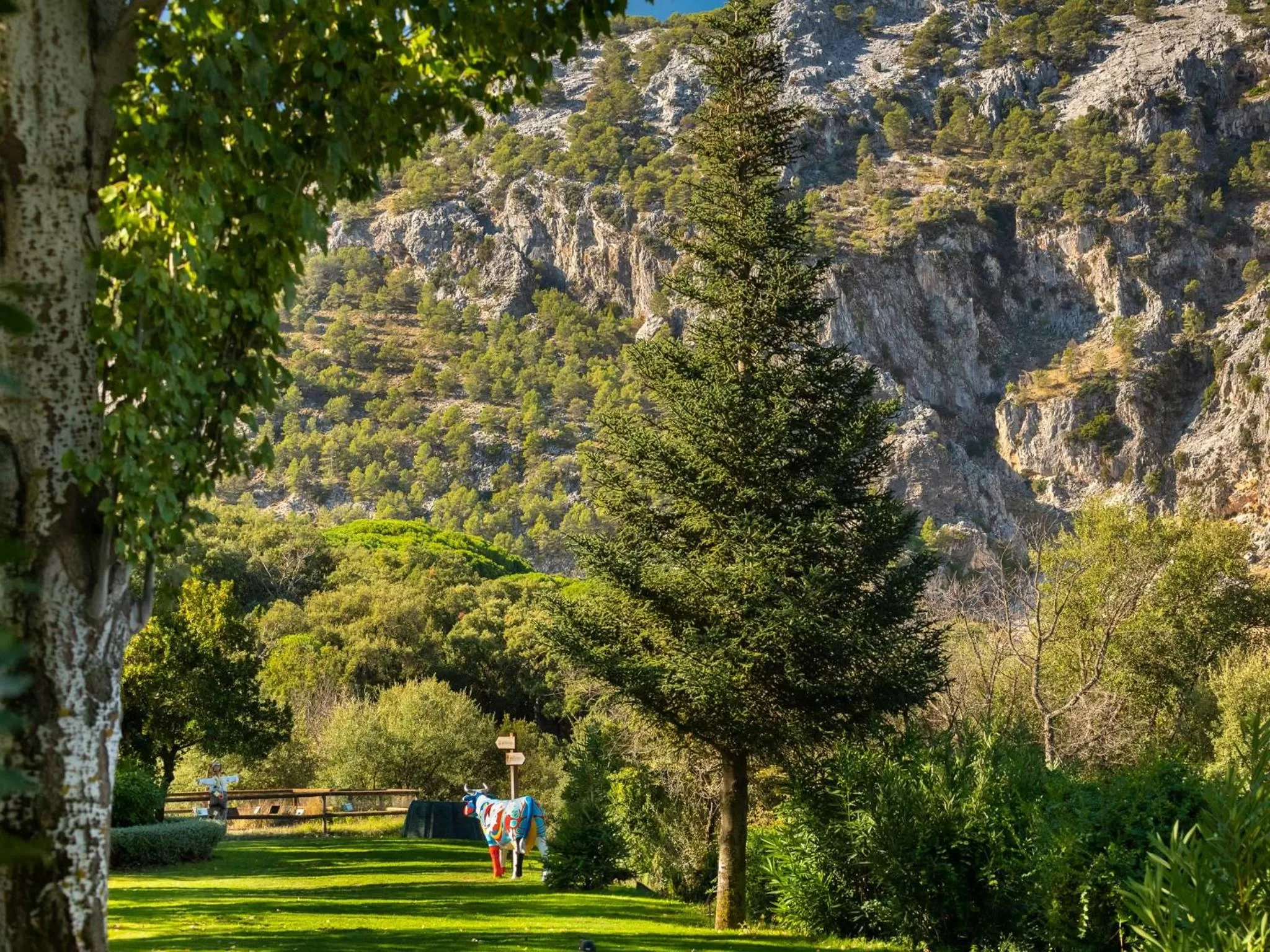 Mountain view in Hotel Fuerte Grazalema