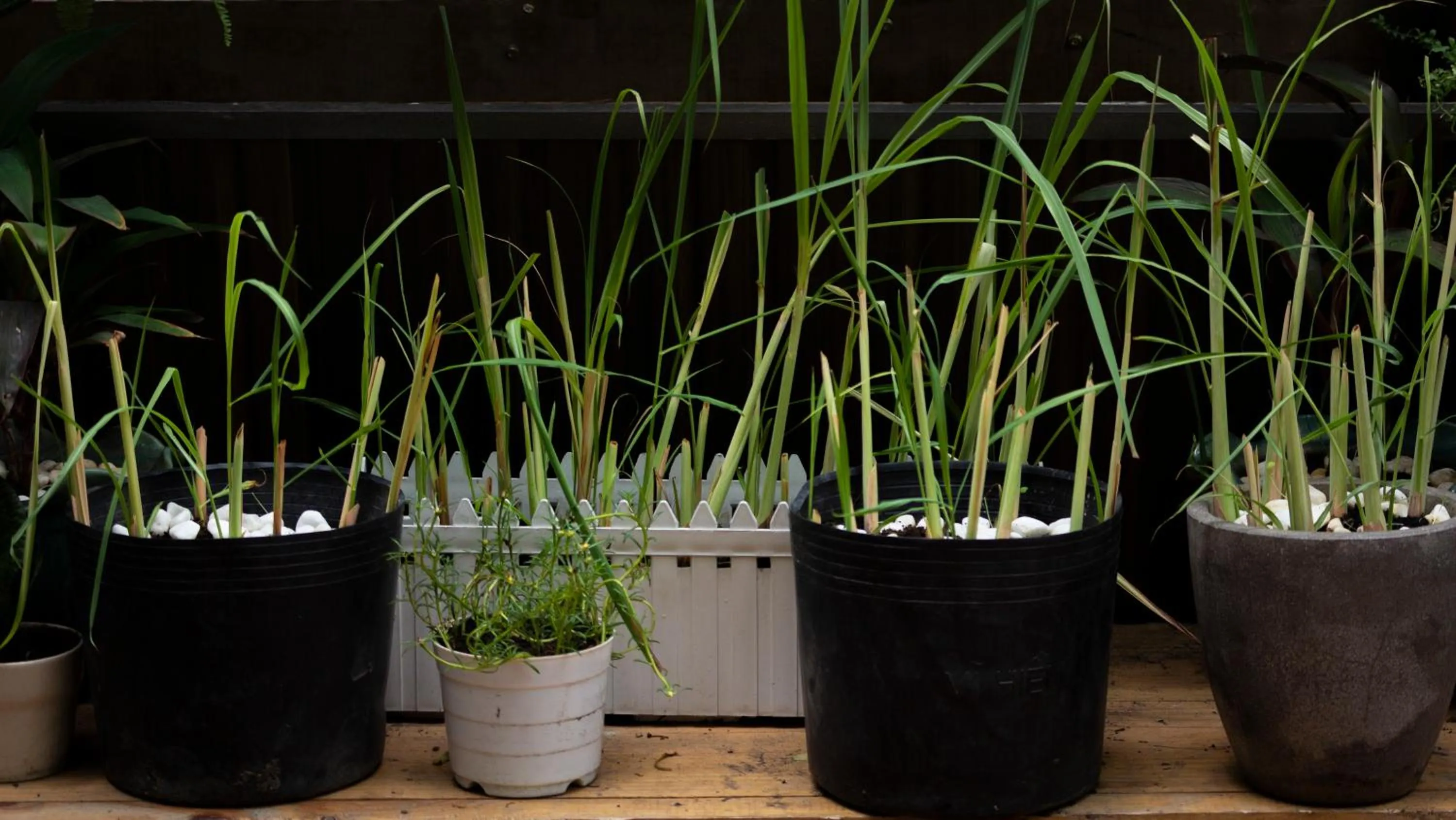 Patio in Coucou Homestead I - Homestay & Dorm District 1