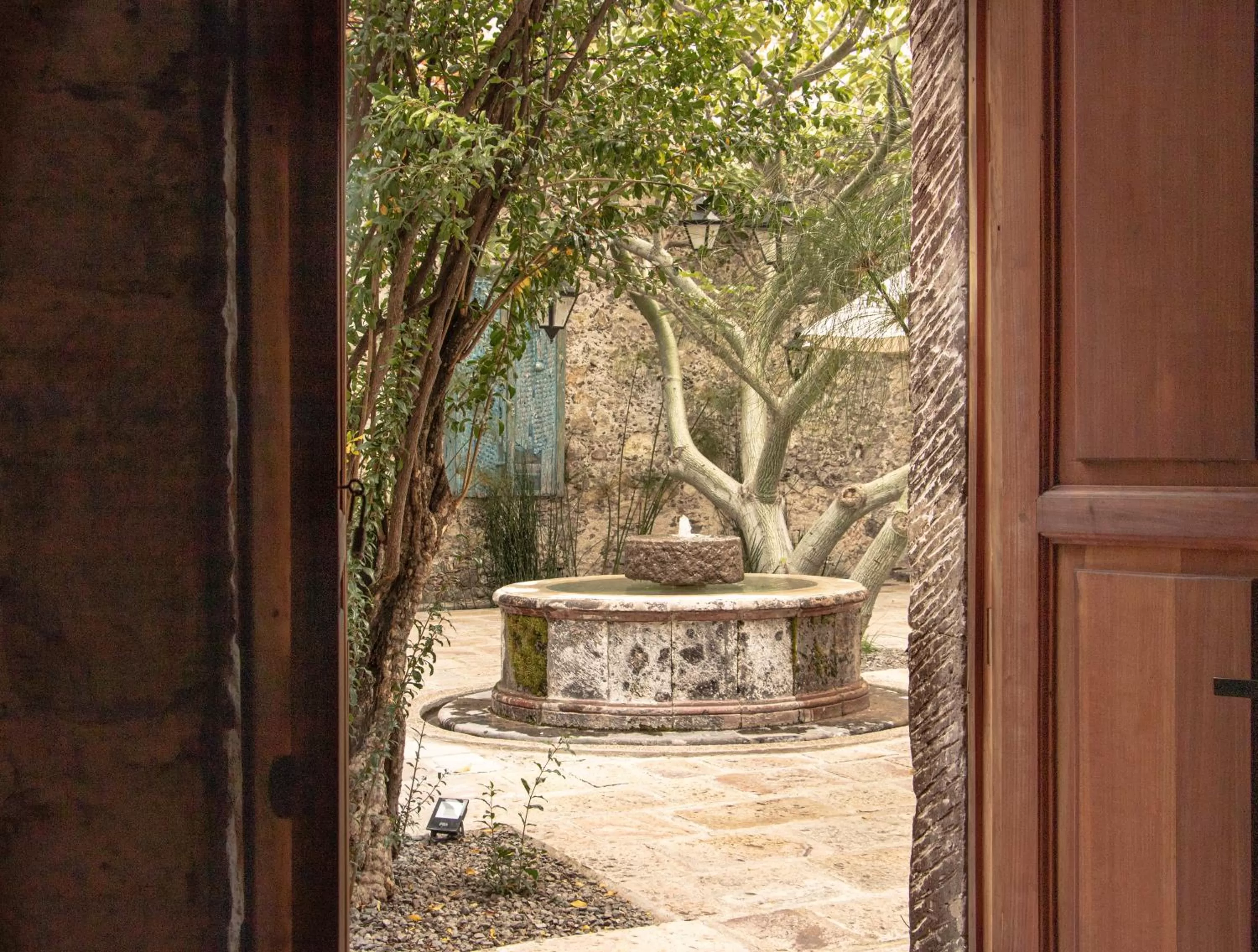 Garden view in Orchid House San Miguel de Allende