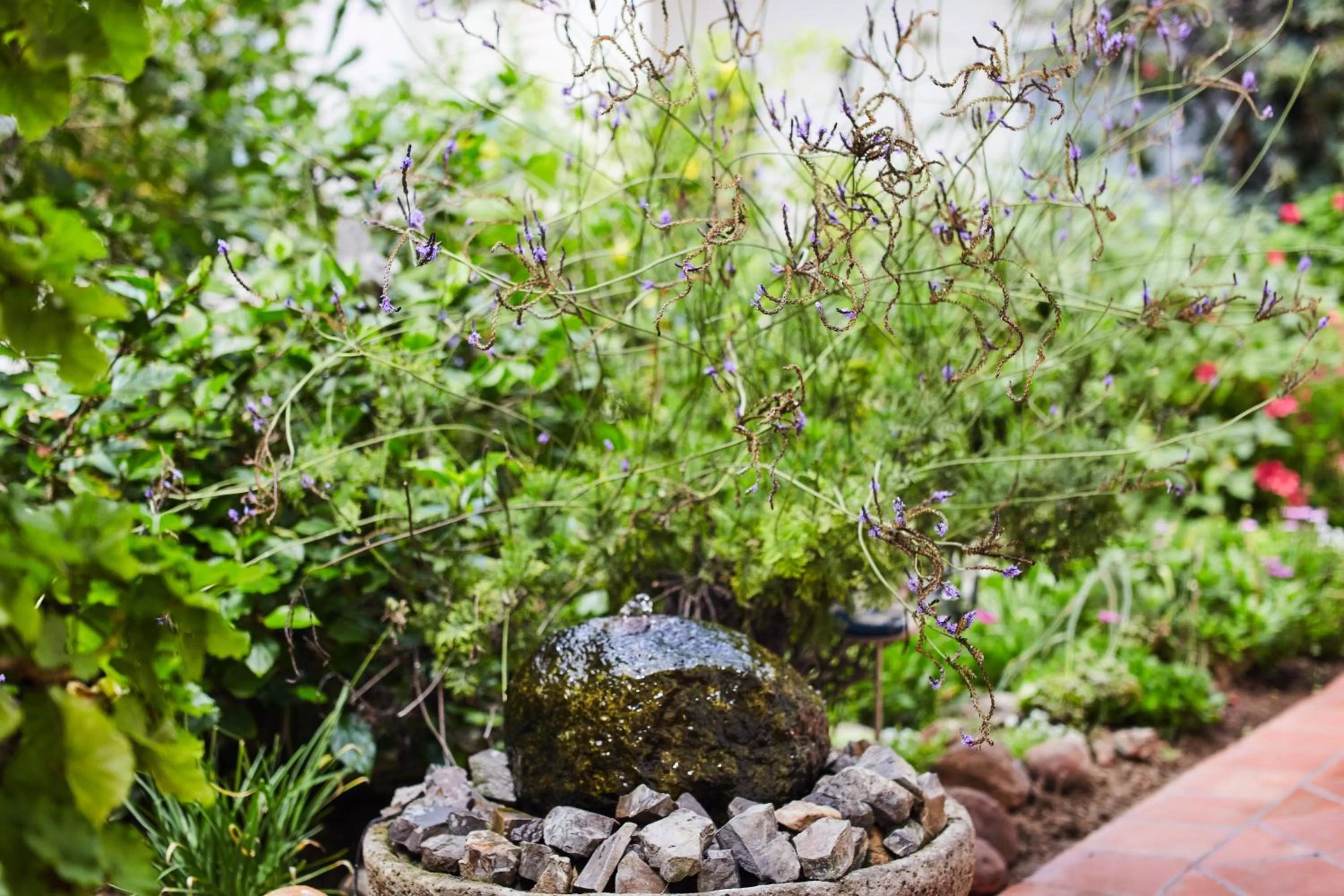 Garden view in Meike's Guesthouse