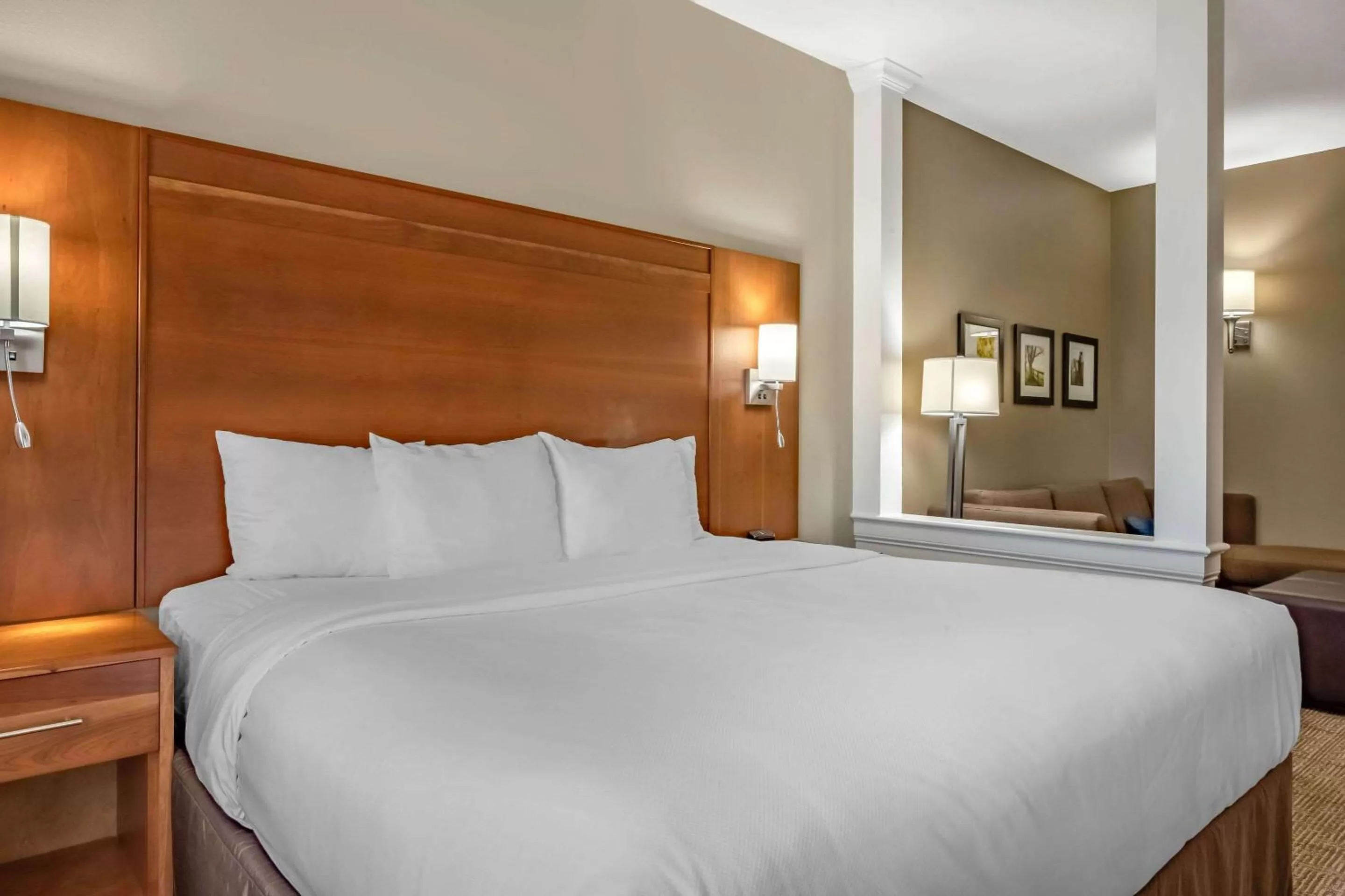 King Suite First Floor - Accessible/Non-Smoking in Comfort Suites Hotel and Conference Center
