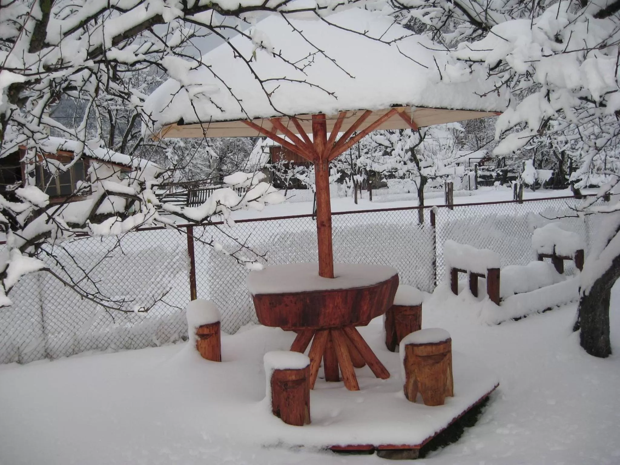 Garden, Winter in Pensiunea Luminita