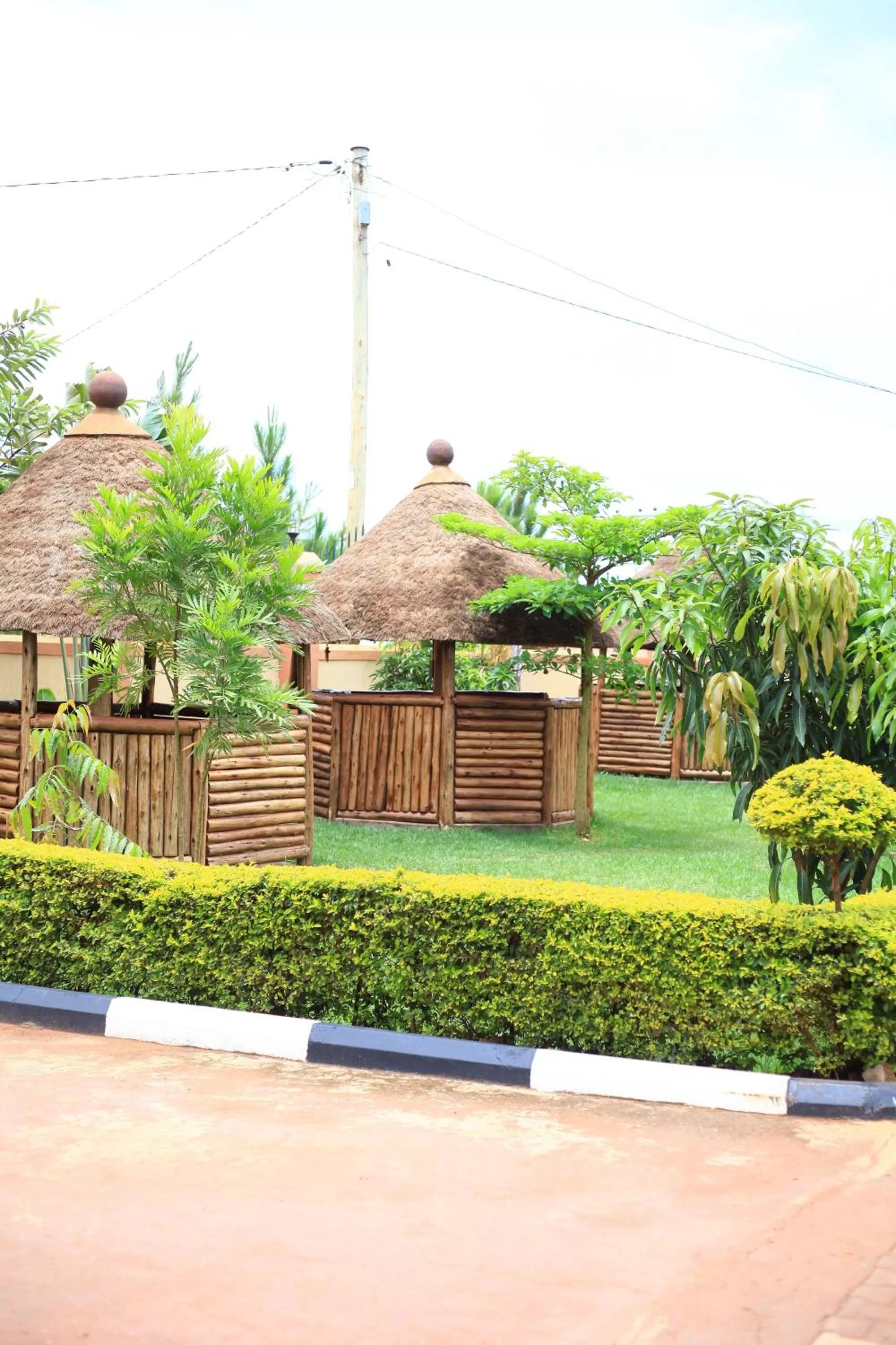 Garden in Elite Backpackers Services