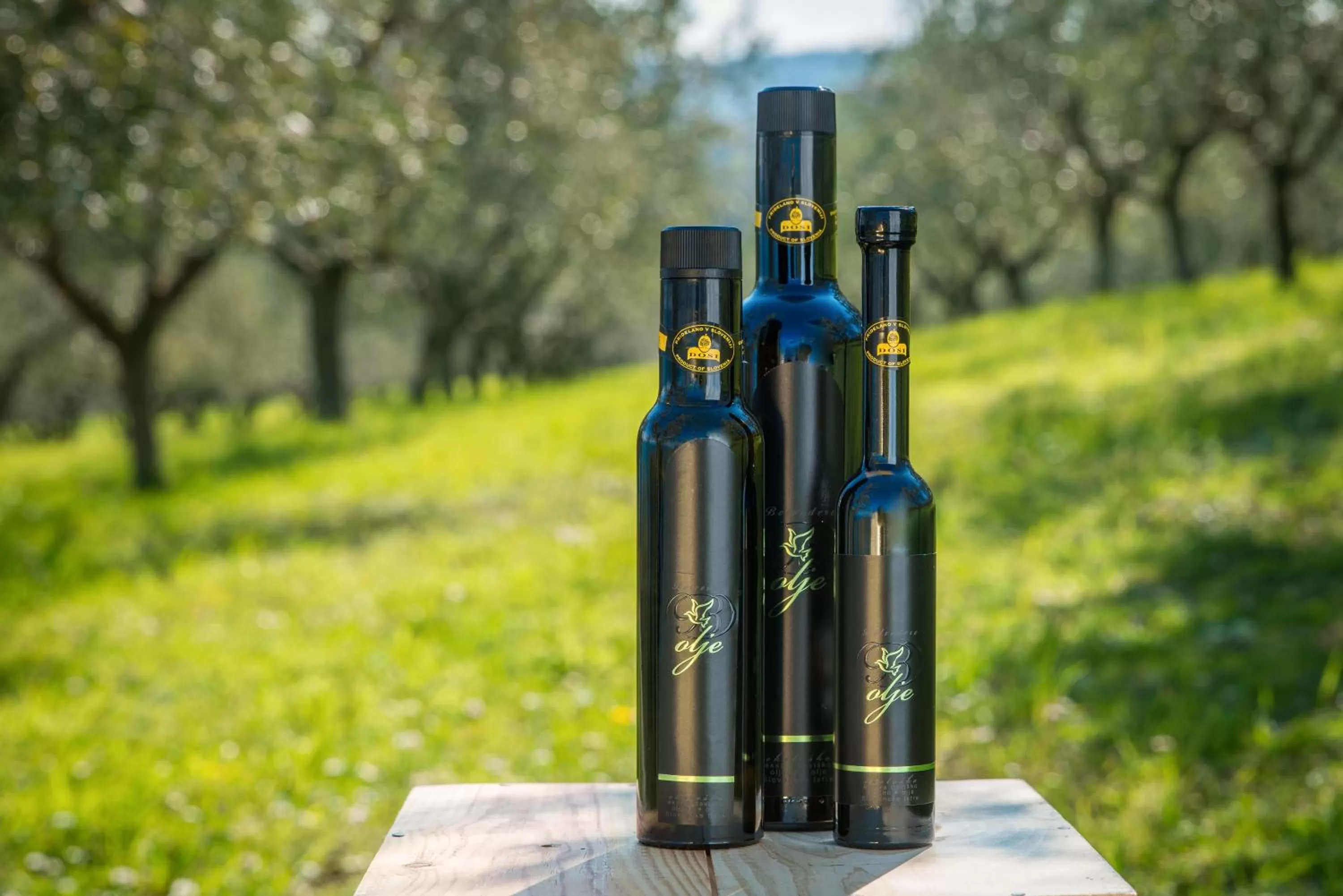 Day in Belvedere Resort Hotels