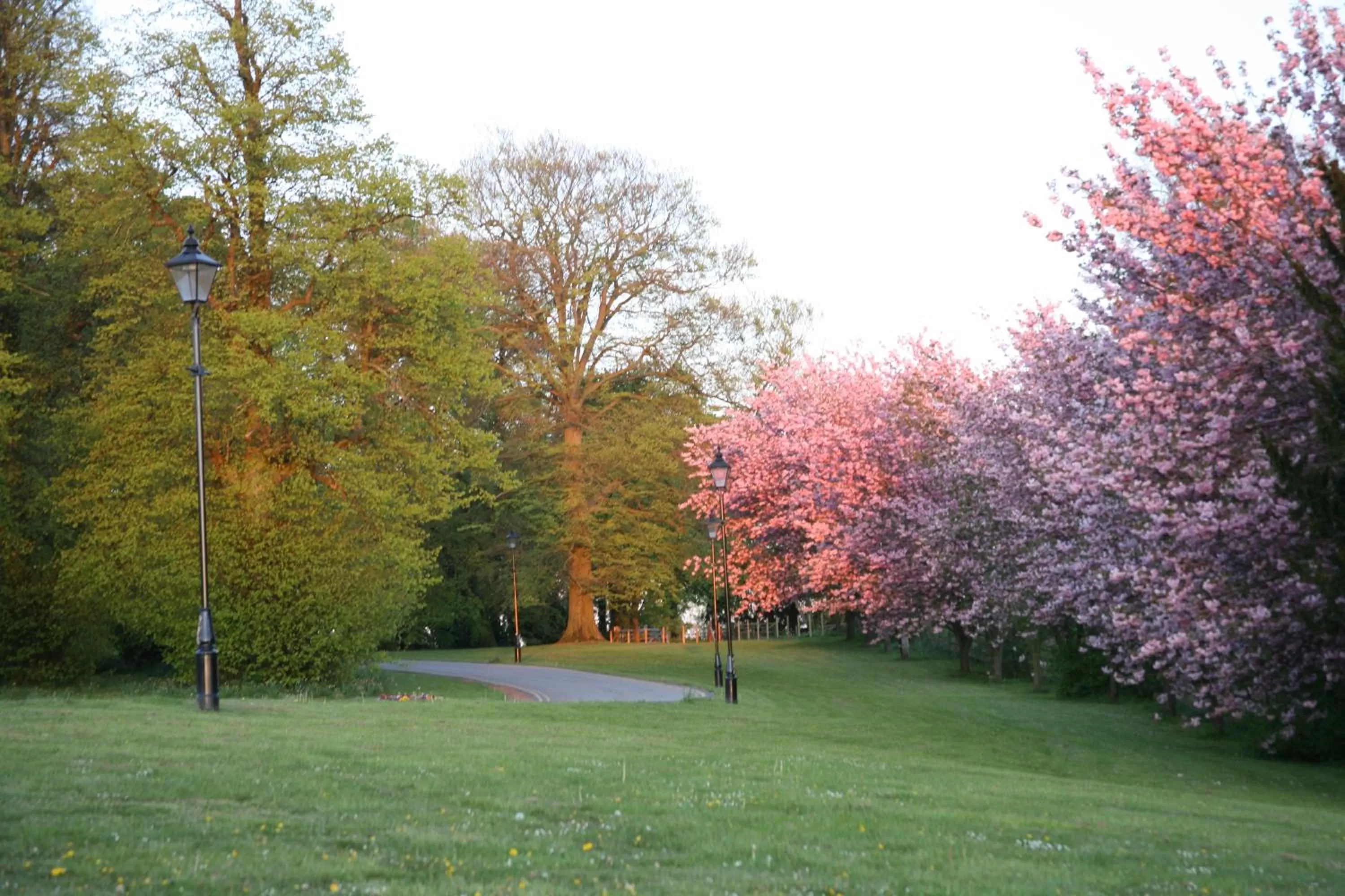 Garden in Hardwick Hall Hotel