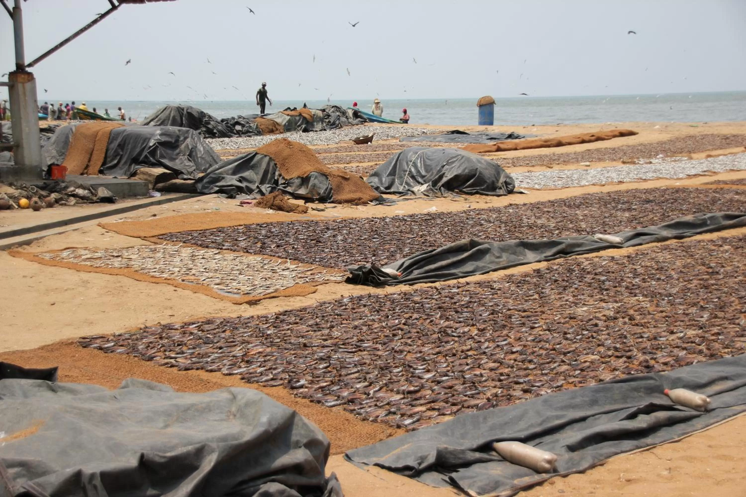 Beach in Hotel 198 Negombo