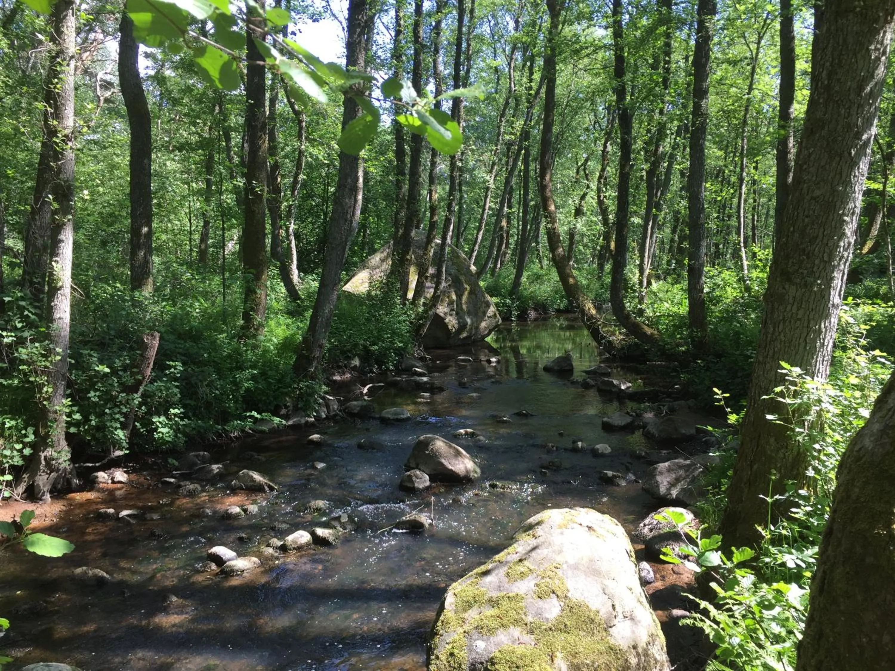 Natural landscape in Tylebäck Hotell & Konferens, BW Signature Collection