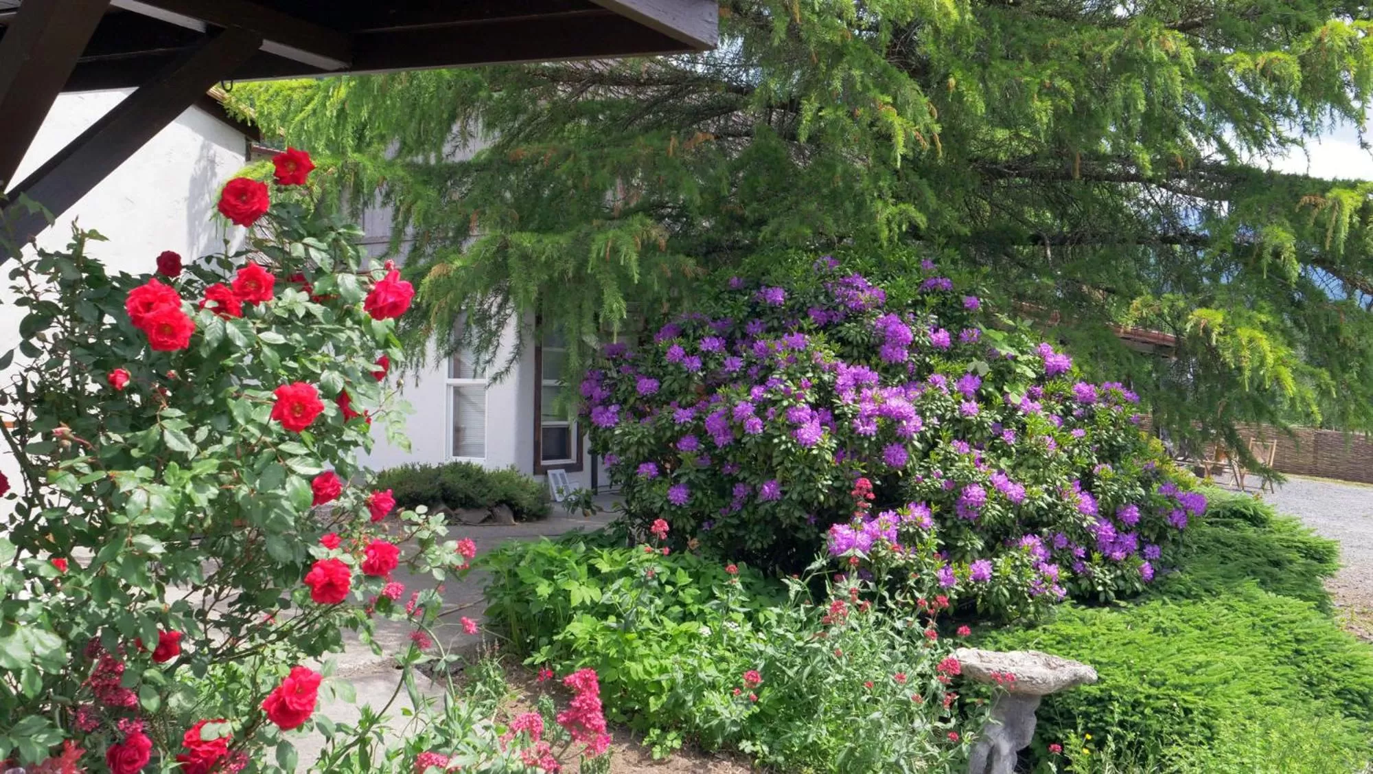 Property building in Paradise Village