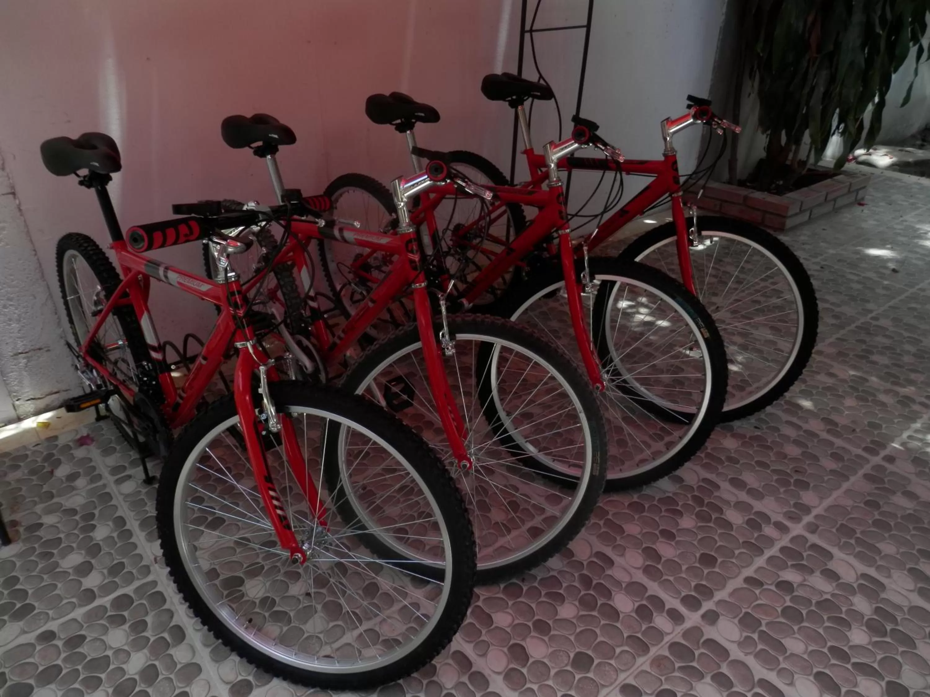 Biking in Hotel Colonial Villavieja