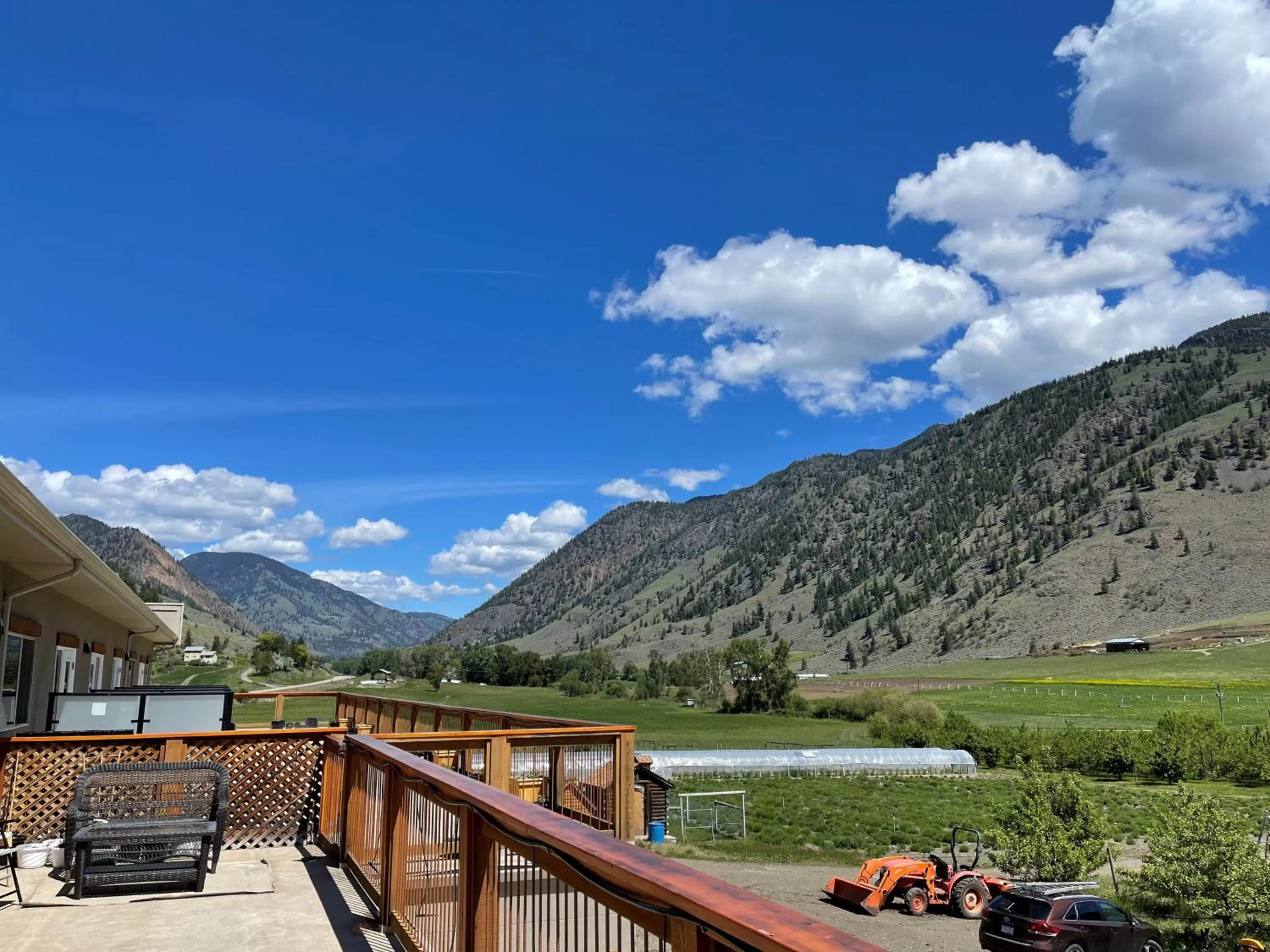 Mountain View in Tree To Me Inn