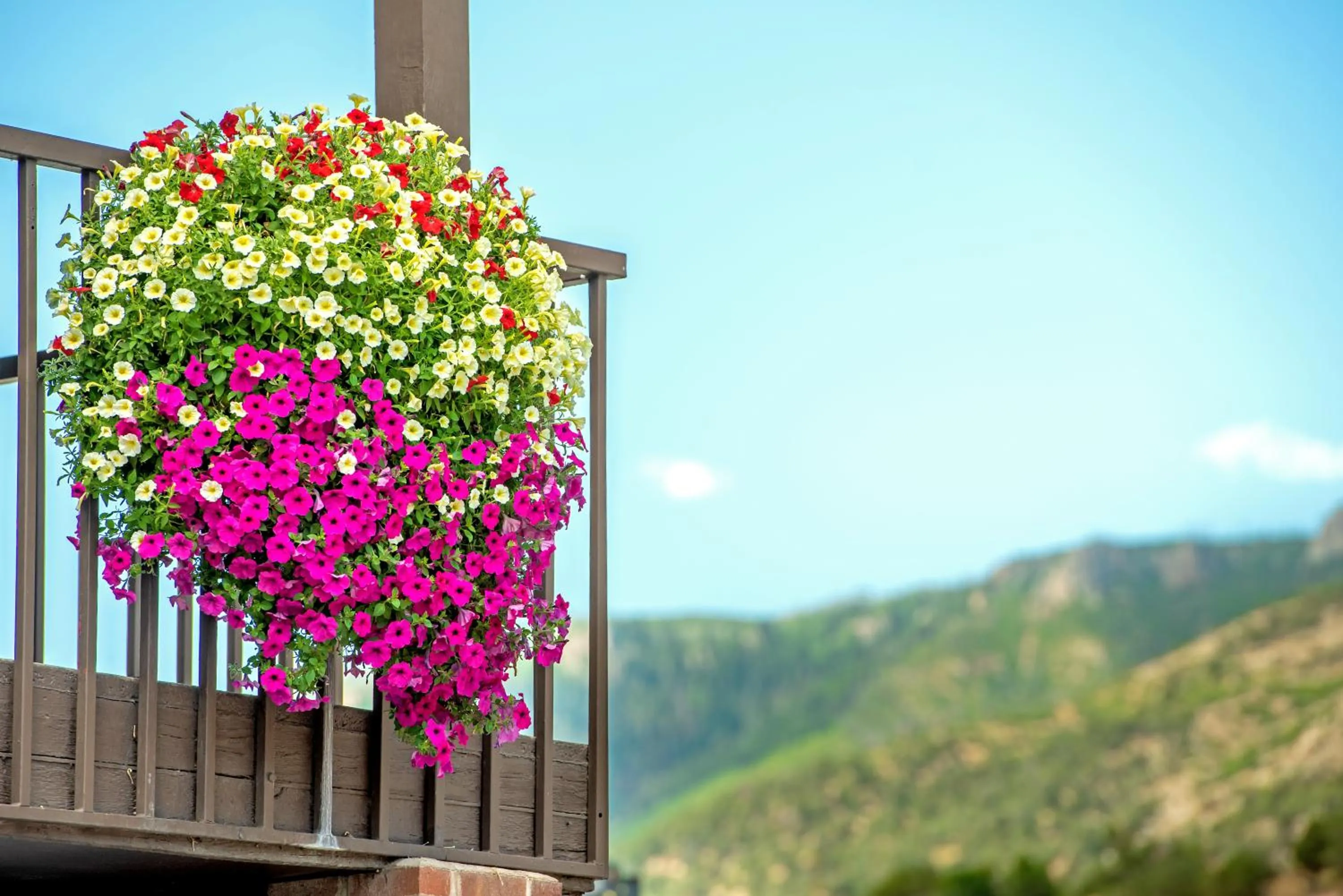 Balcony/Terrace in Silver Spruce Inn