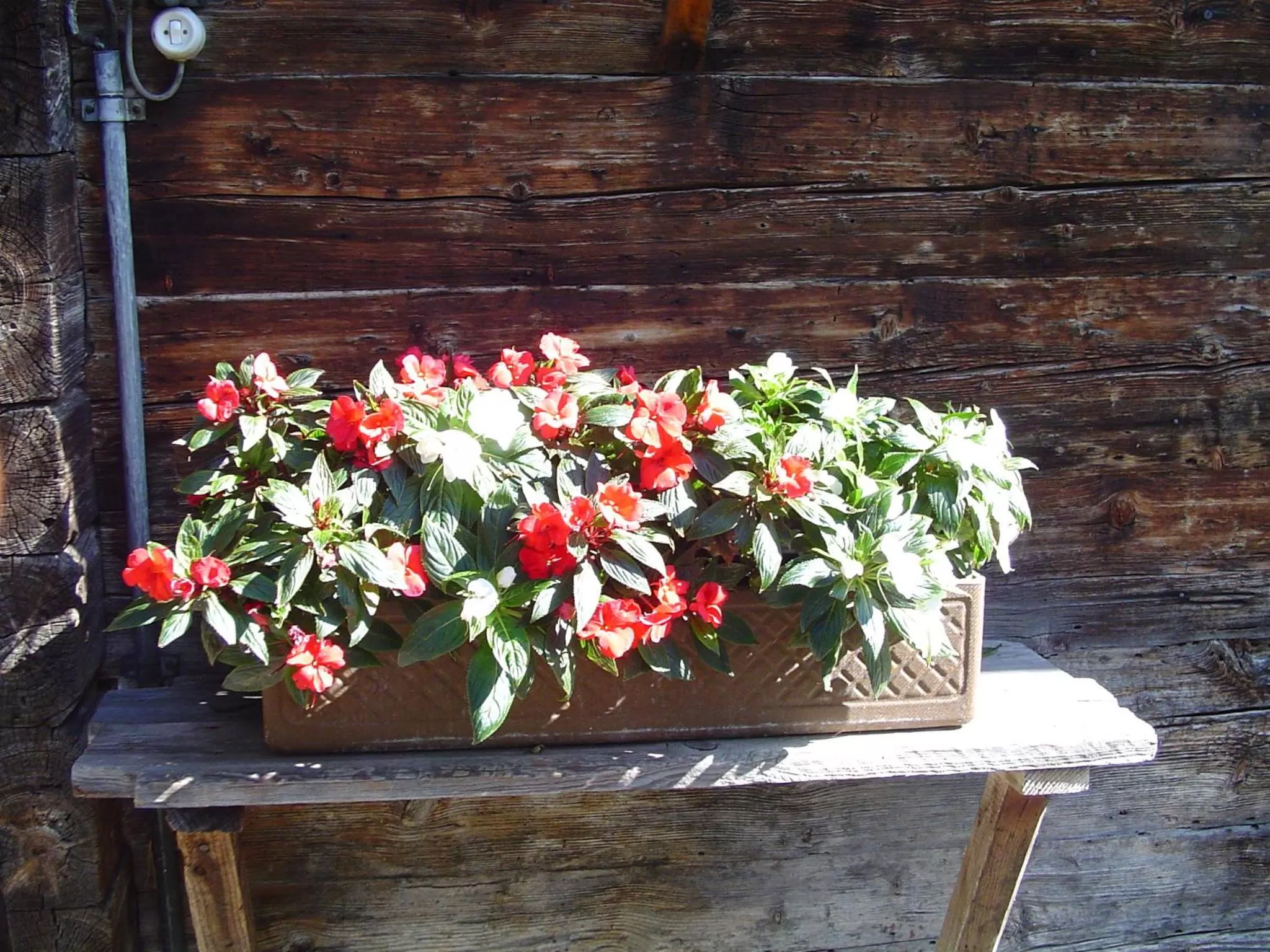 Other in Hotel Tschuggen