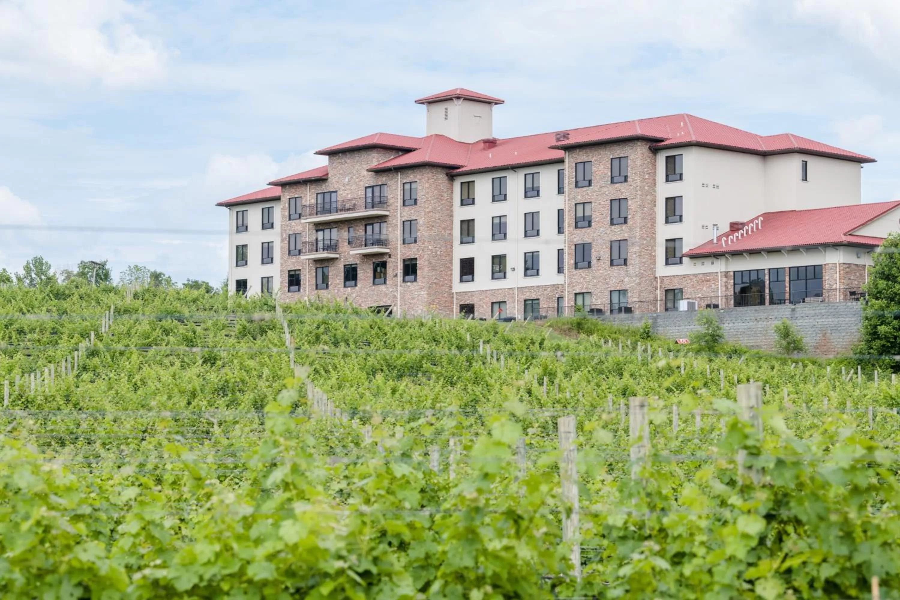 Other in Holiday Inn Express & Suites Lexington North West-The Vineyard by IHG