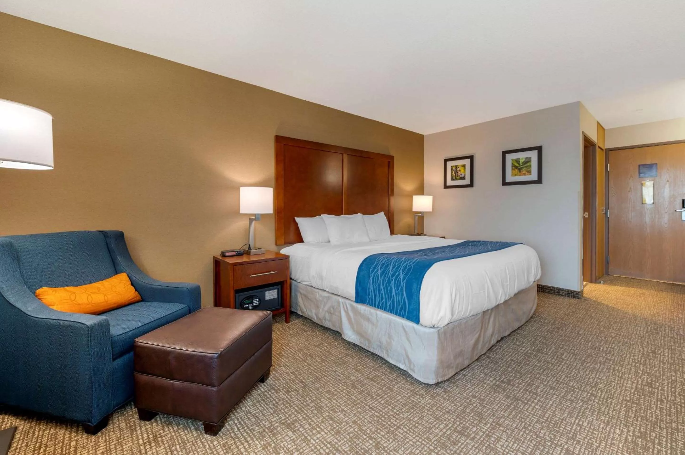 Photo of the whole room, Bed in Comfort Inn Anderson South