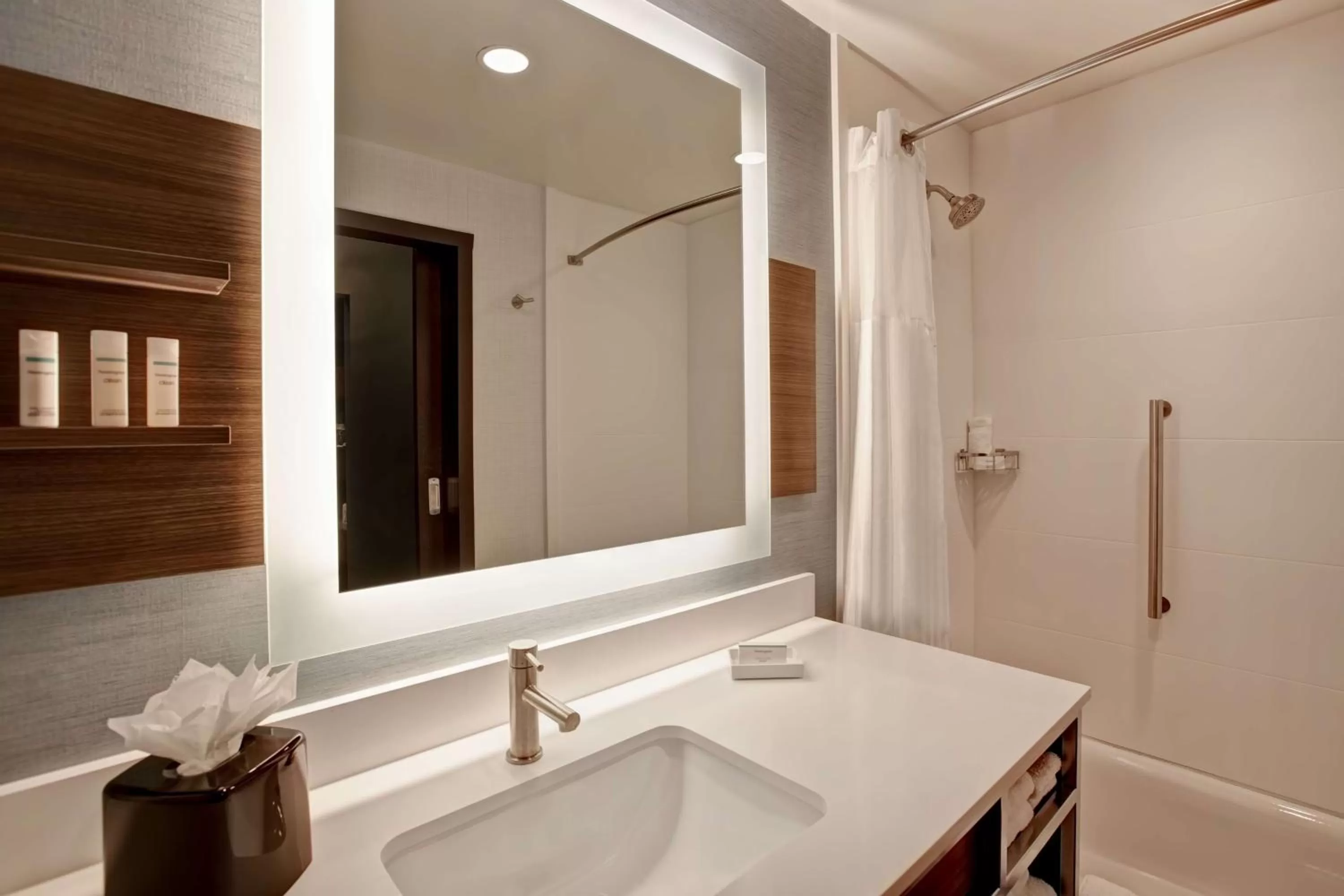 Bathroom in Hilton Garden Inn Summerville, Sc