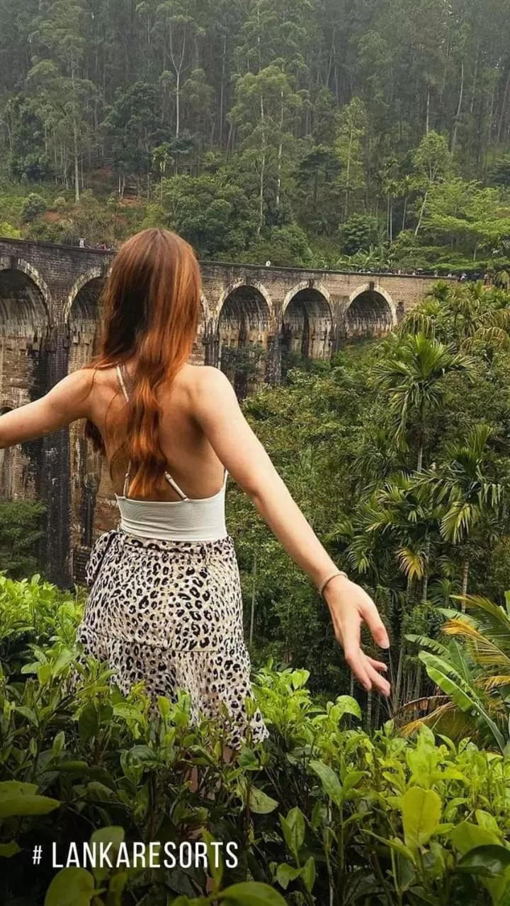 Ella Lucky Panoramic