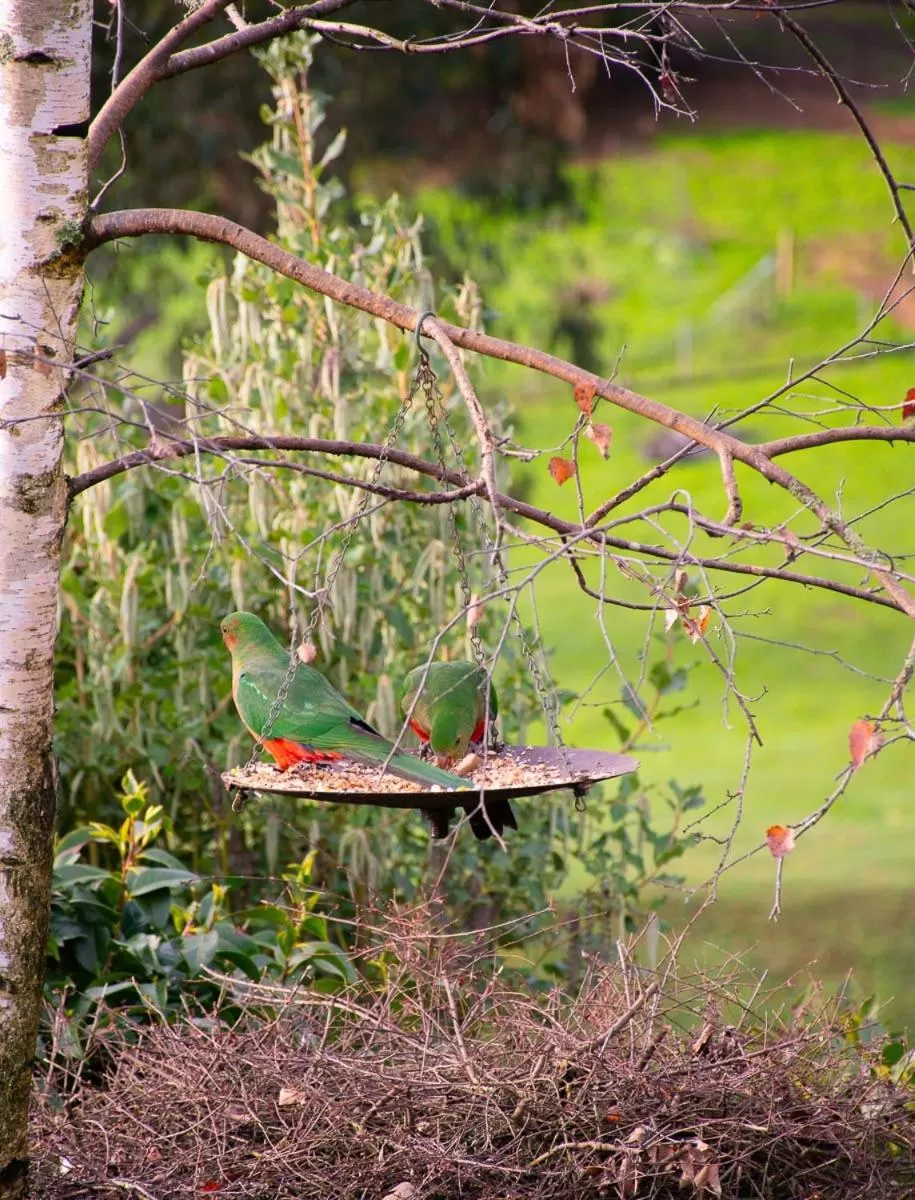 Other Animals in Rosewood Park Guest Suite