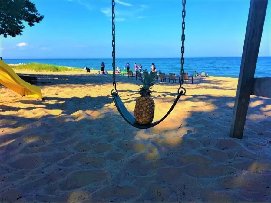 Day in Gold Coast Family Cottages