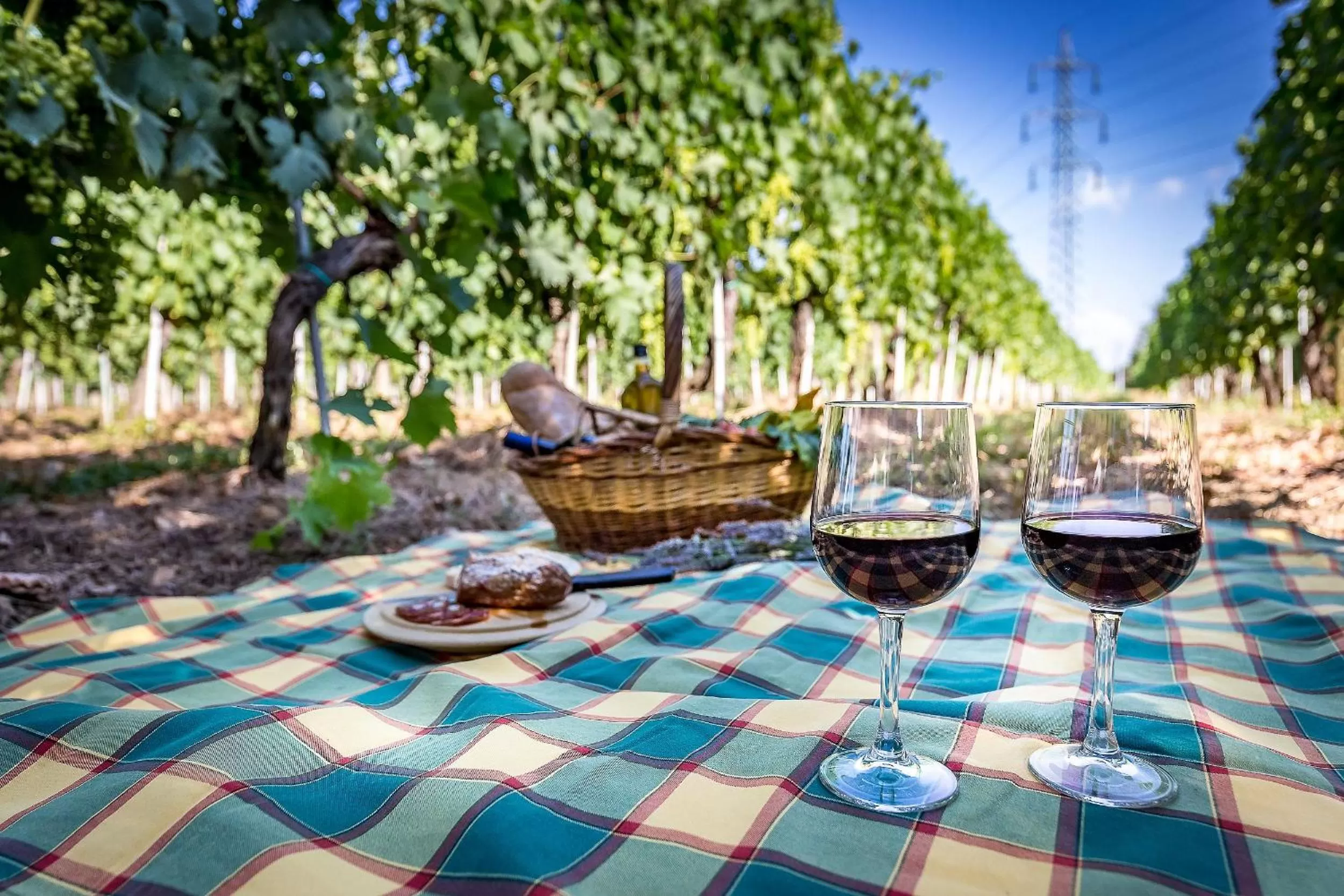 Food and drinks in Locanda il Fornello