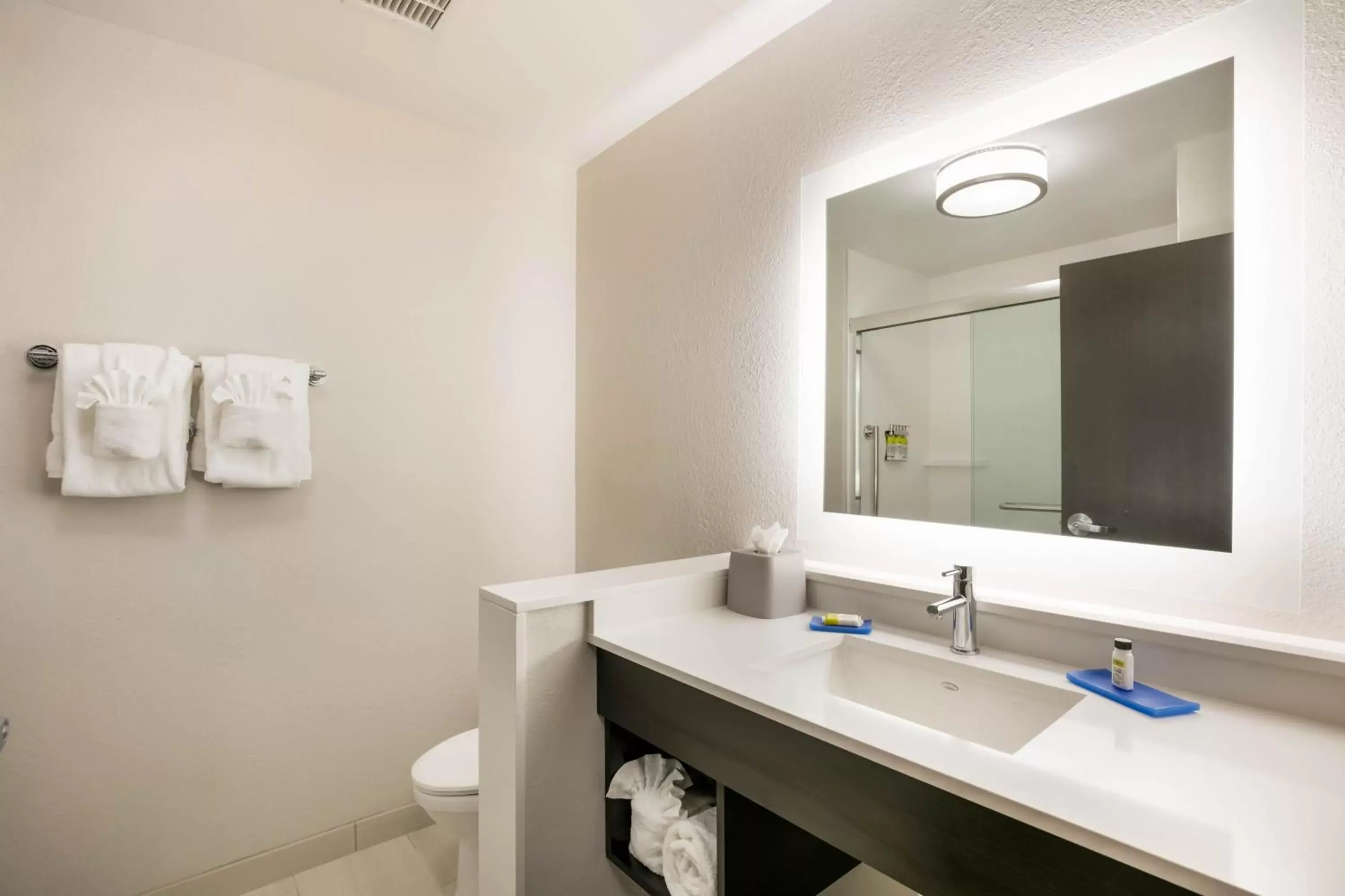 King Room - Mobility Access Tub - Non-Smoking in Holiday Inn Express & Suites Jacksonville - Town Center, an IHG Hotel King Room - Mobility Access Tub - Non-Smoking in Holiday Inn Express & Suites Jacksonville - Town Center, an IHG Hotel