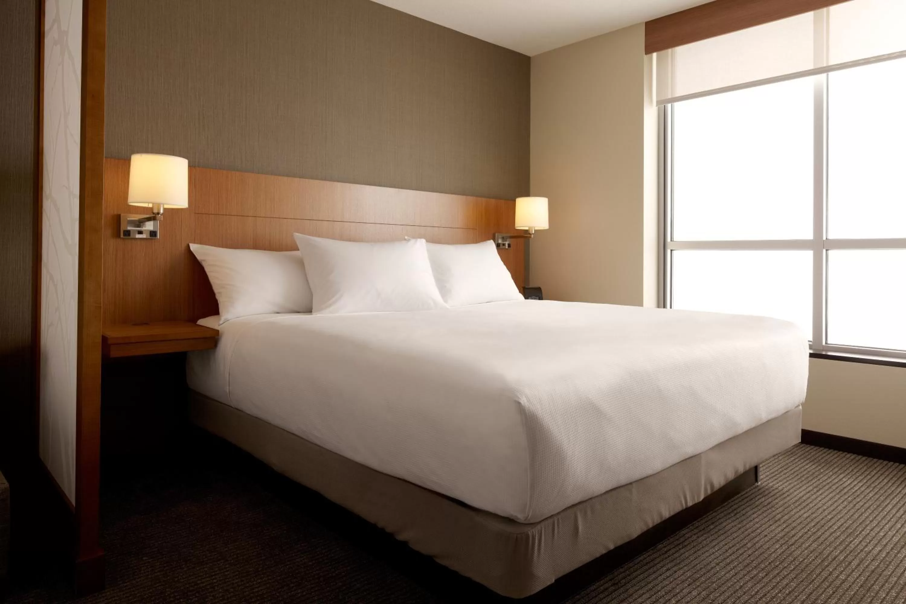 King Room with Sofa Bed and Accessible Tub - Disability Access in Hyatt Place Denver-South/Park Meadows