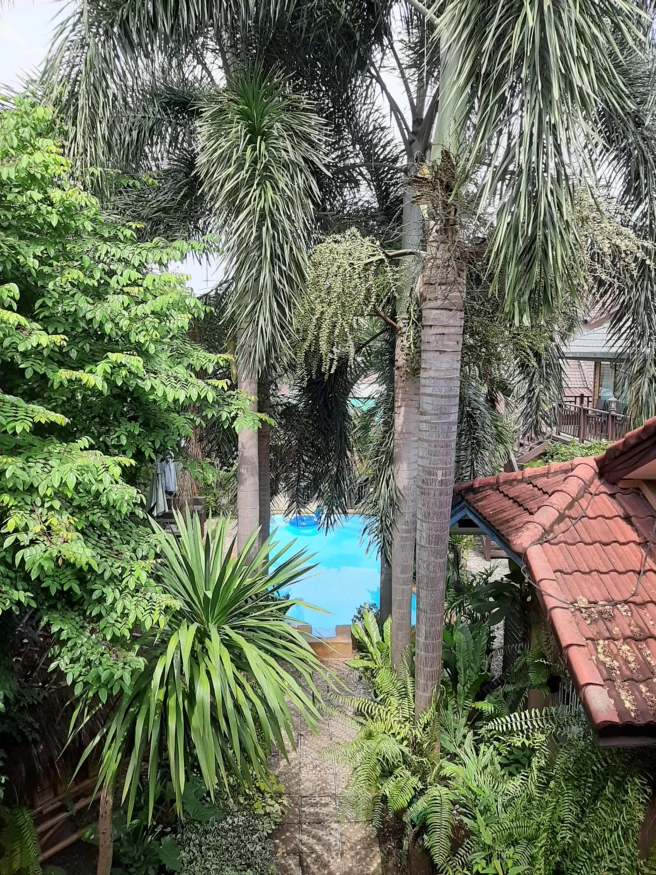 Pool view in Liam's Guesthouse Adults Only