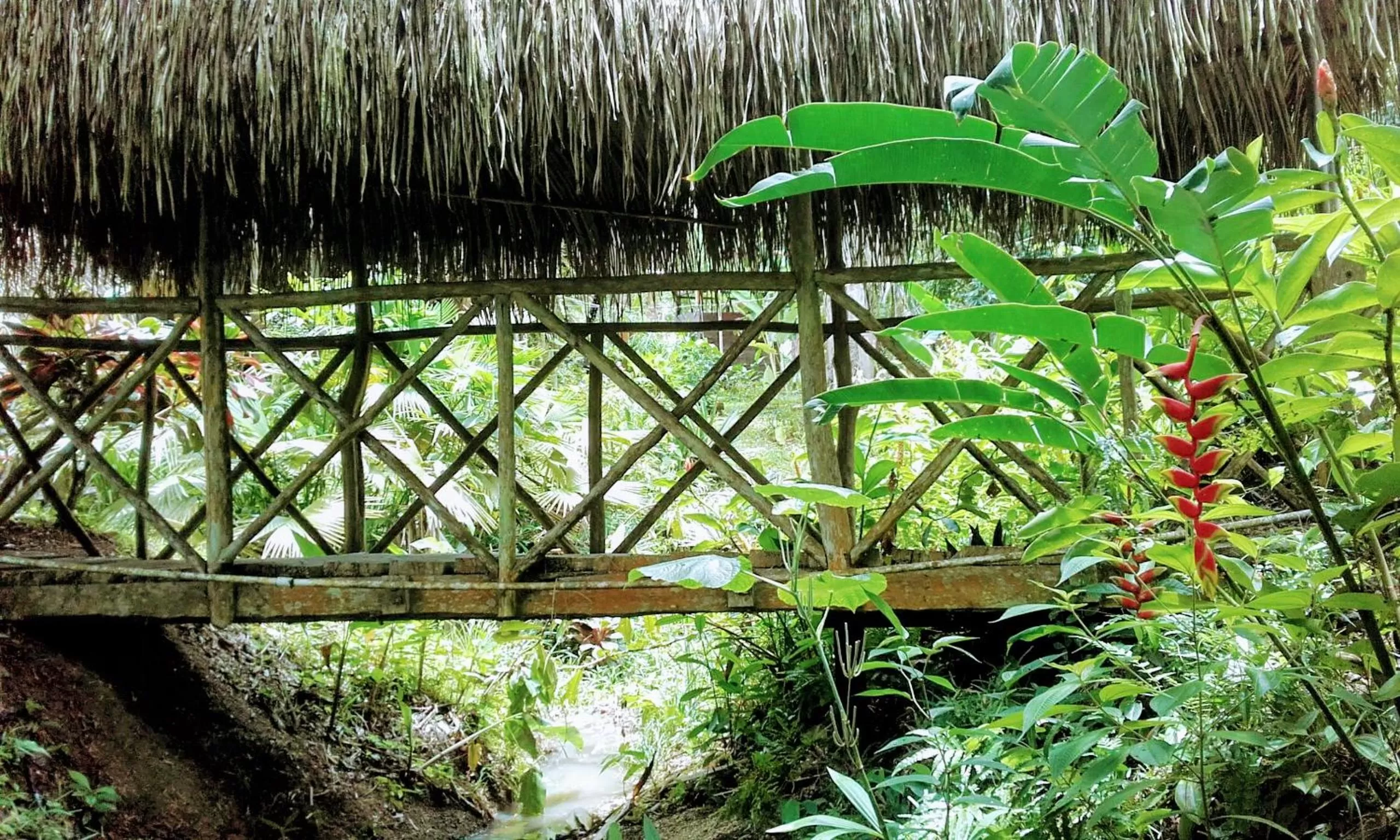 Garden in Sun Creek Lodge