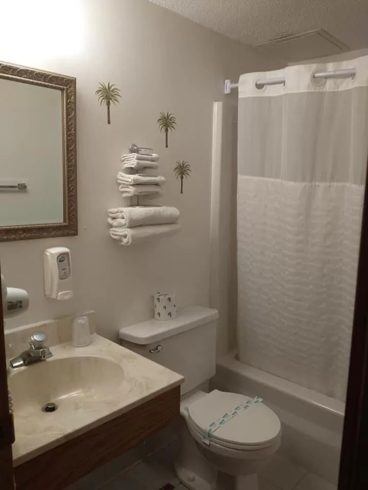 Bathroom in Sauk River Inn & Suites, a Travelodge by Wyndham