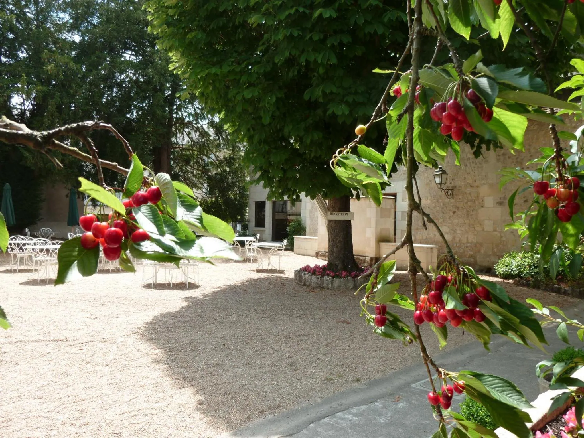 Patio in Hôtel Grand Monarque