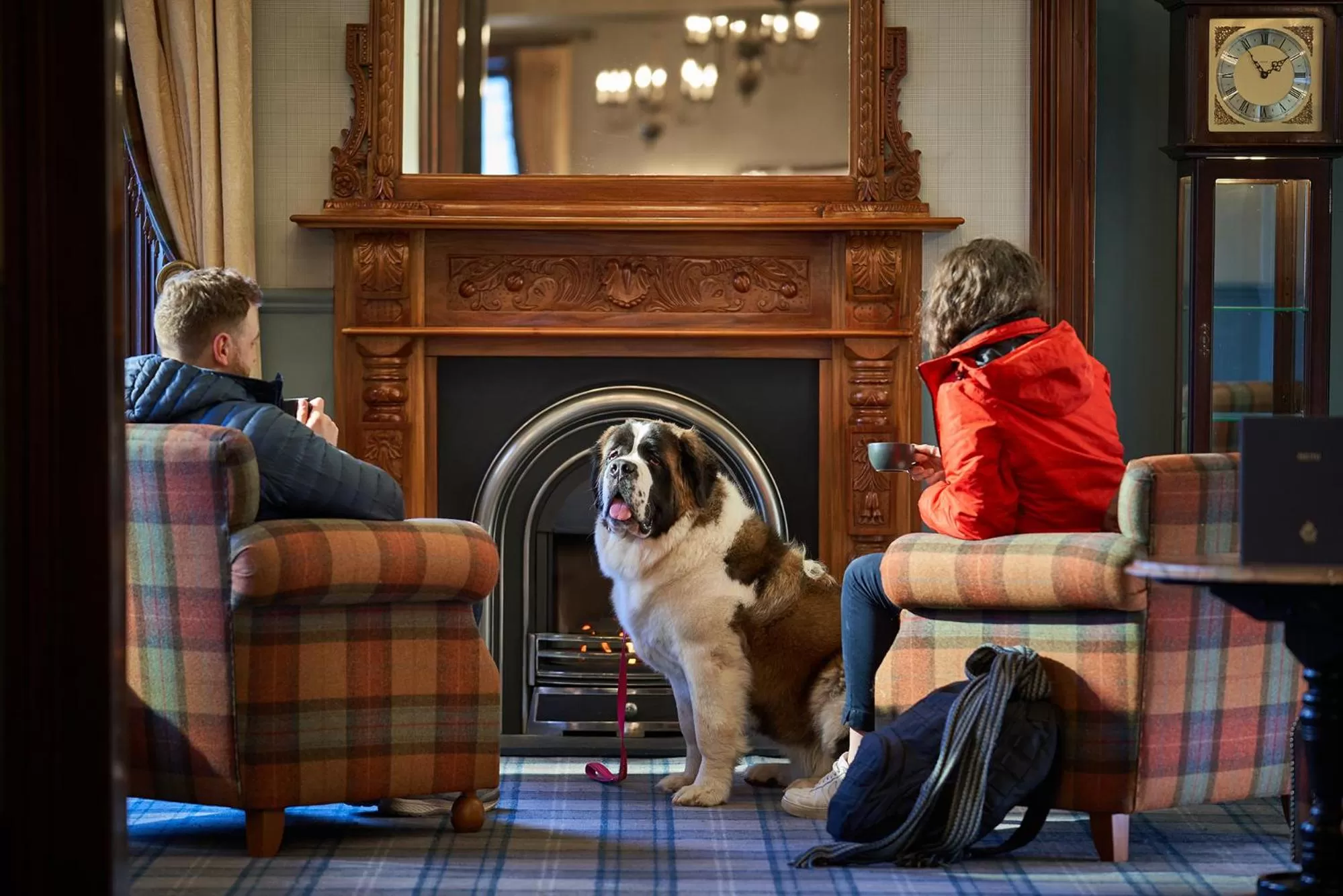 Pets in Oban Bay Hotel