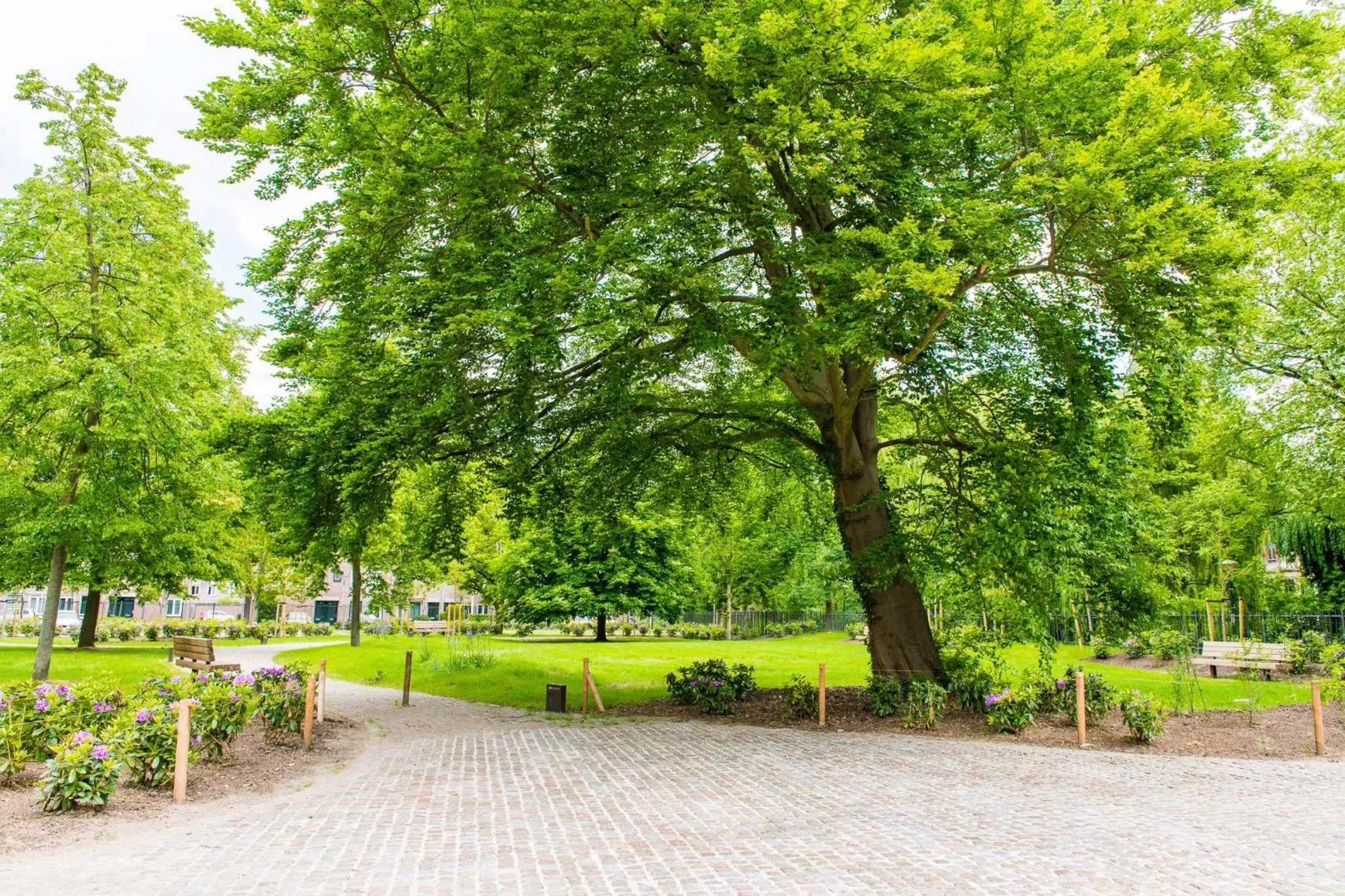 Garden in Hotel Mariënhage