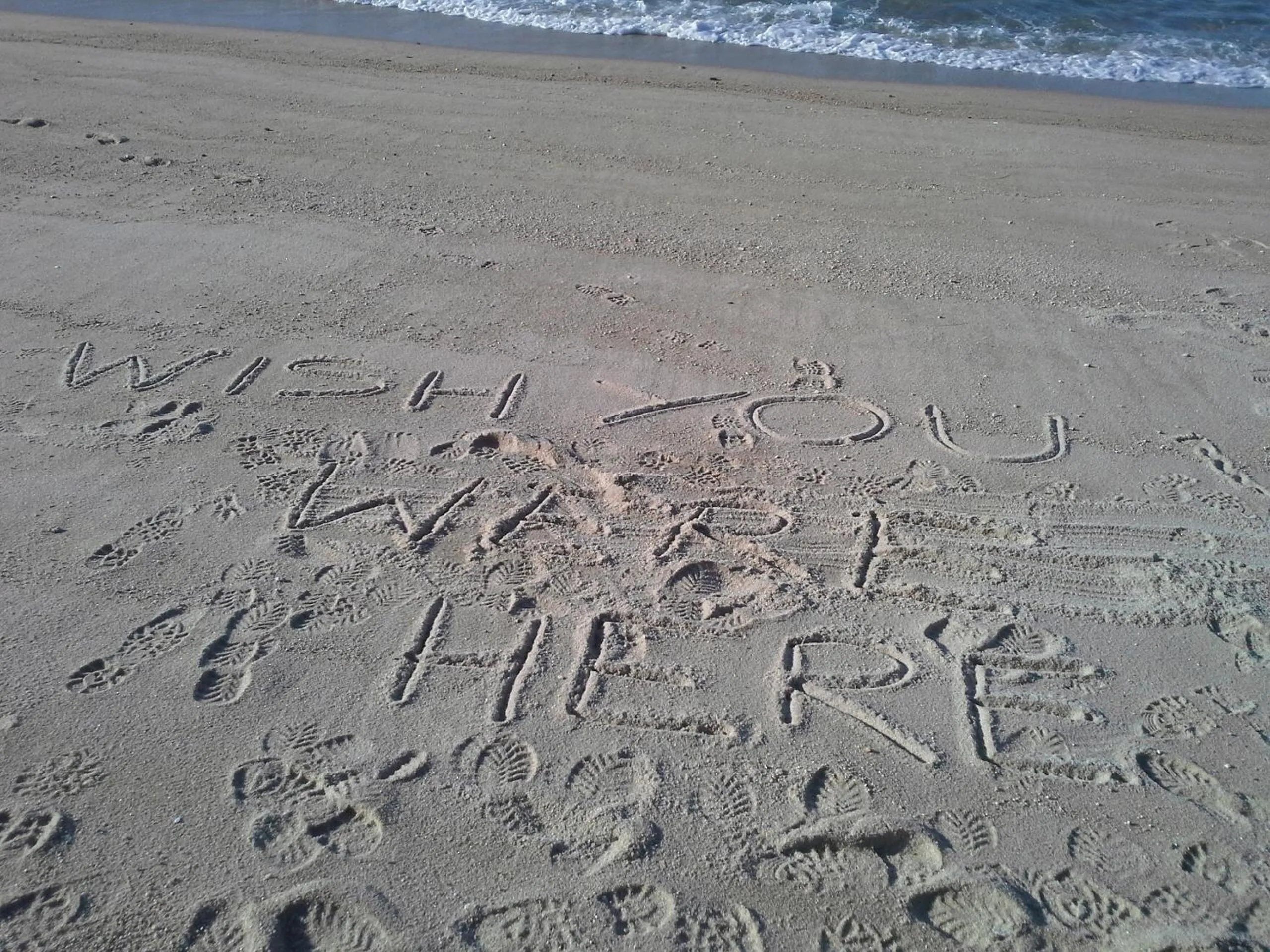 Off site in The Bug Backpackers