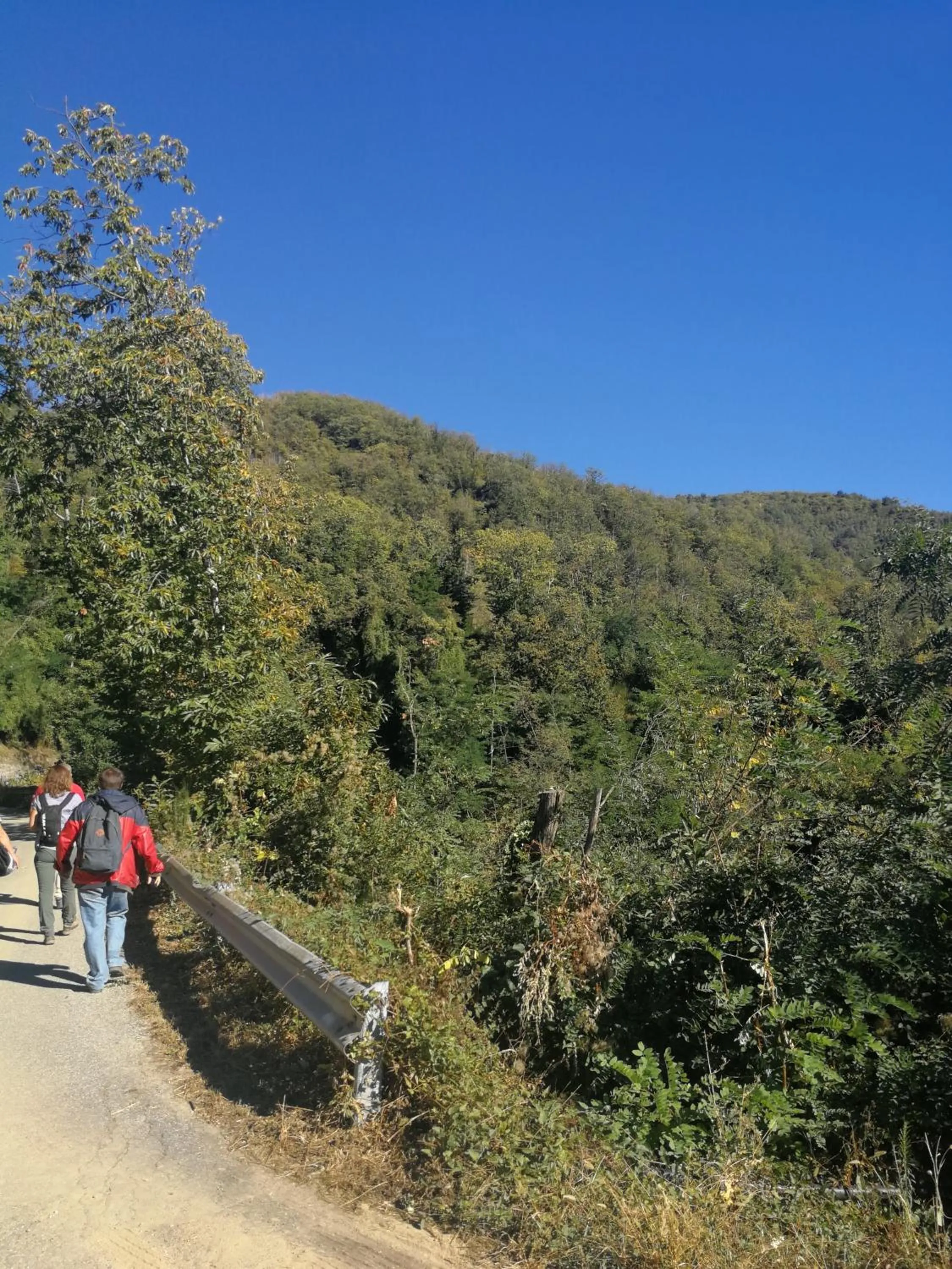 Natural landscape in Il Ciocco Hotels