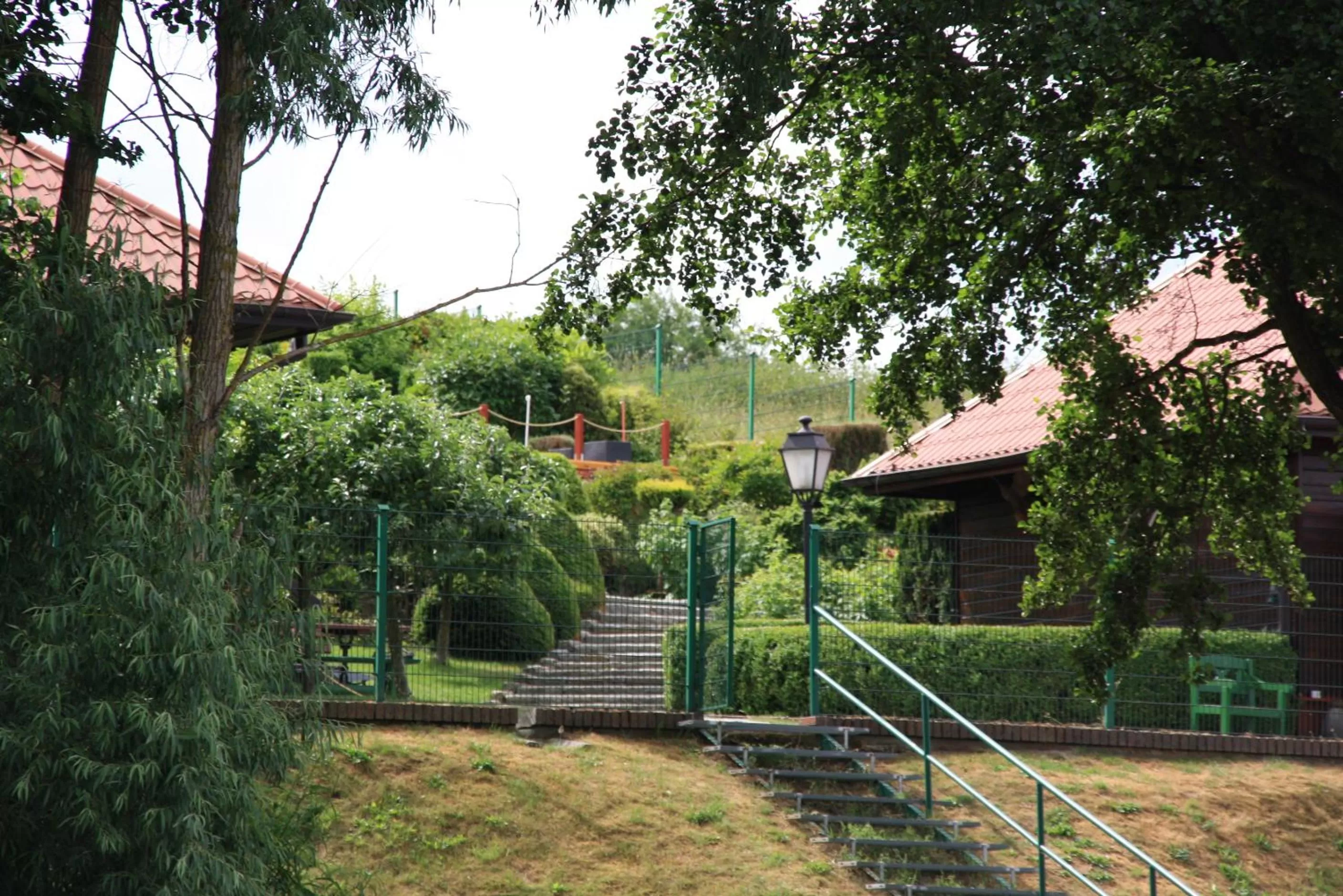 Natural landscape in Port Jeziorak