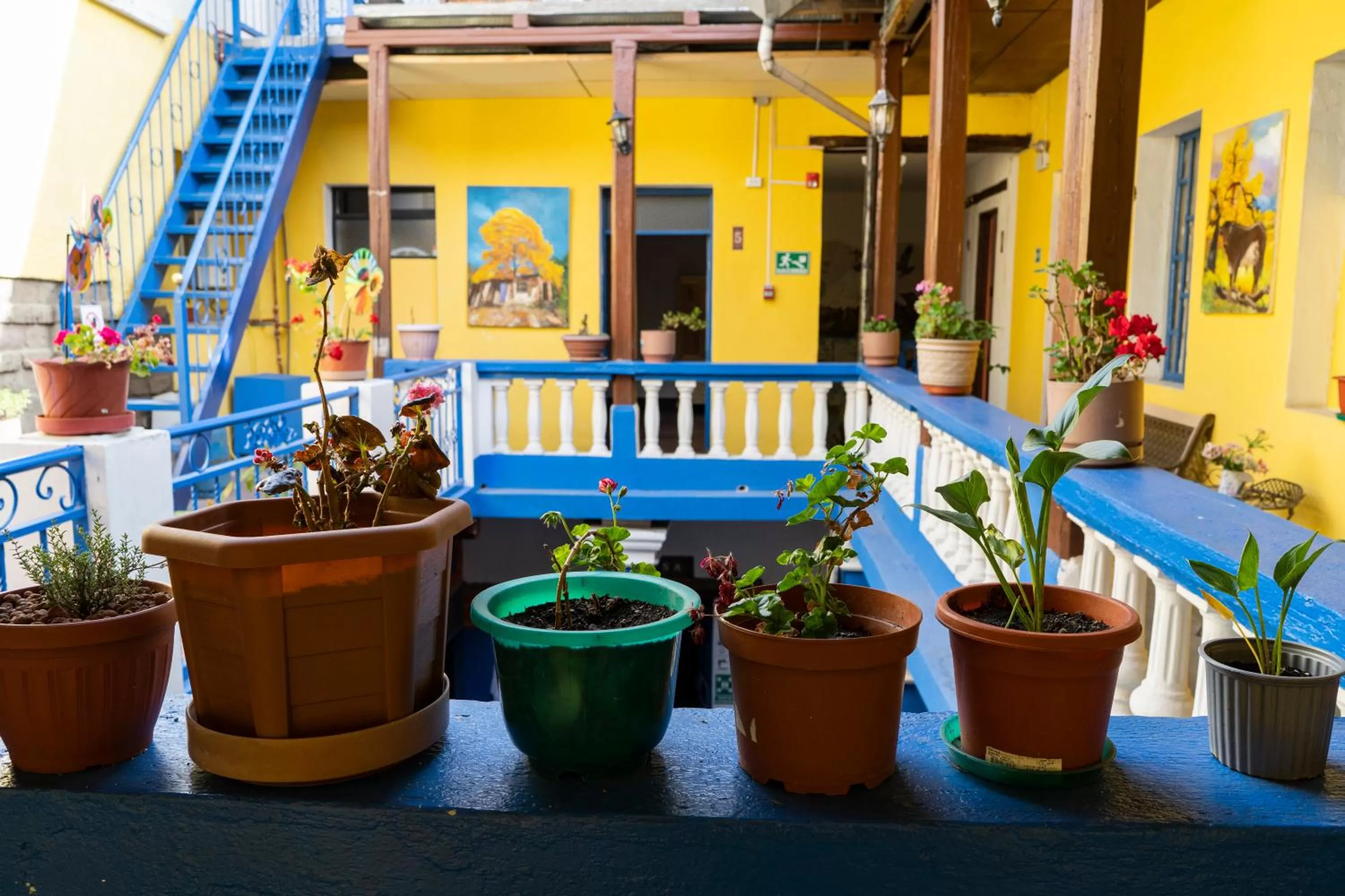 Patio in Blue Door Housing Historic Quito