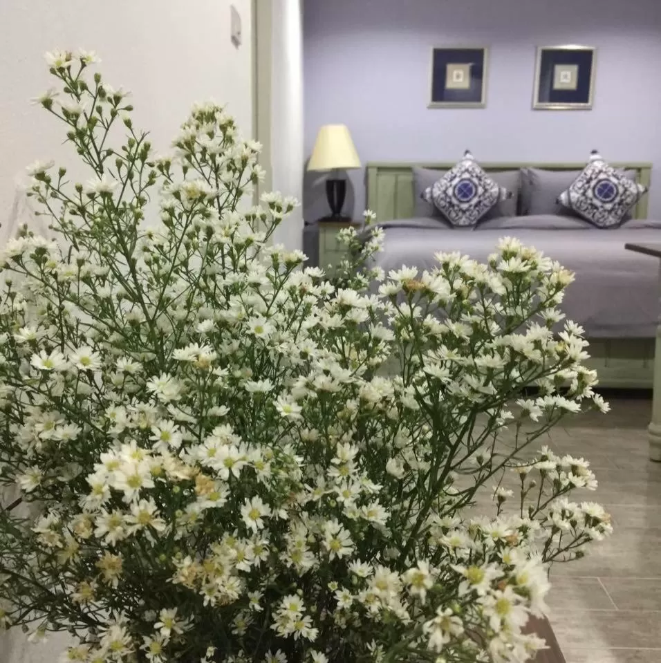 Property Building in BC Summer Beach