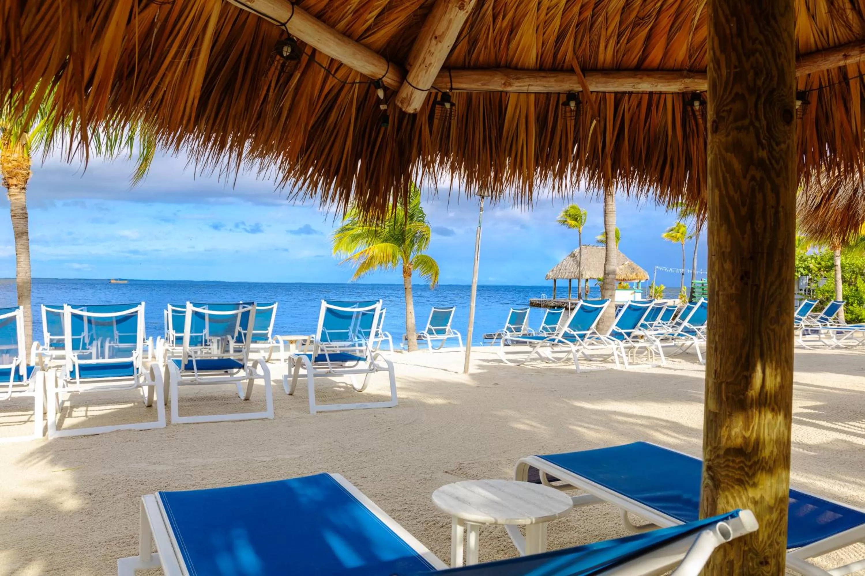 Beach in Reefhouse Resort and Marina