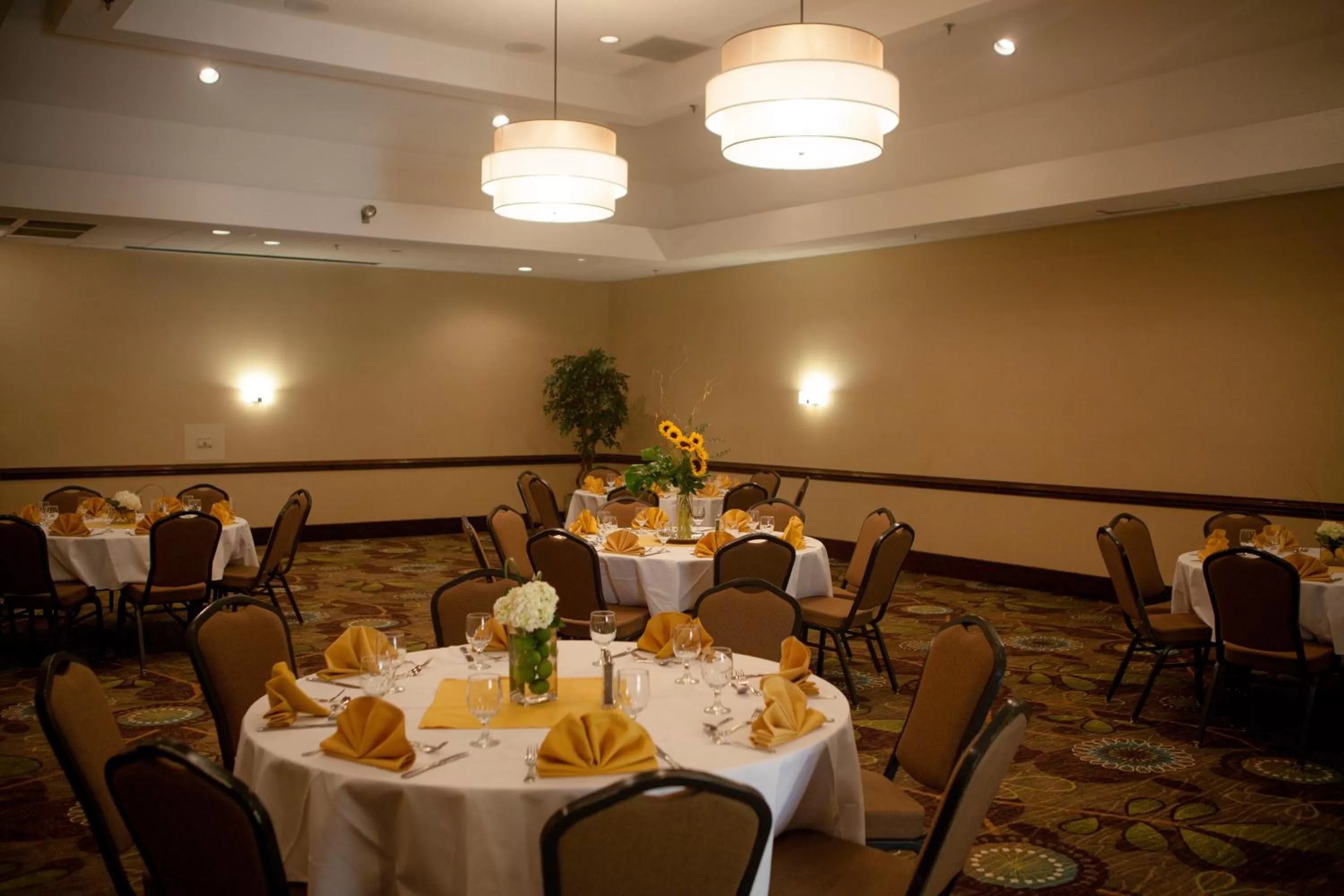 Meeting/conference room in Holiday Inn Greenville by IHG