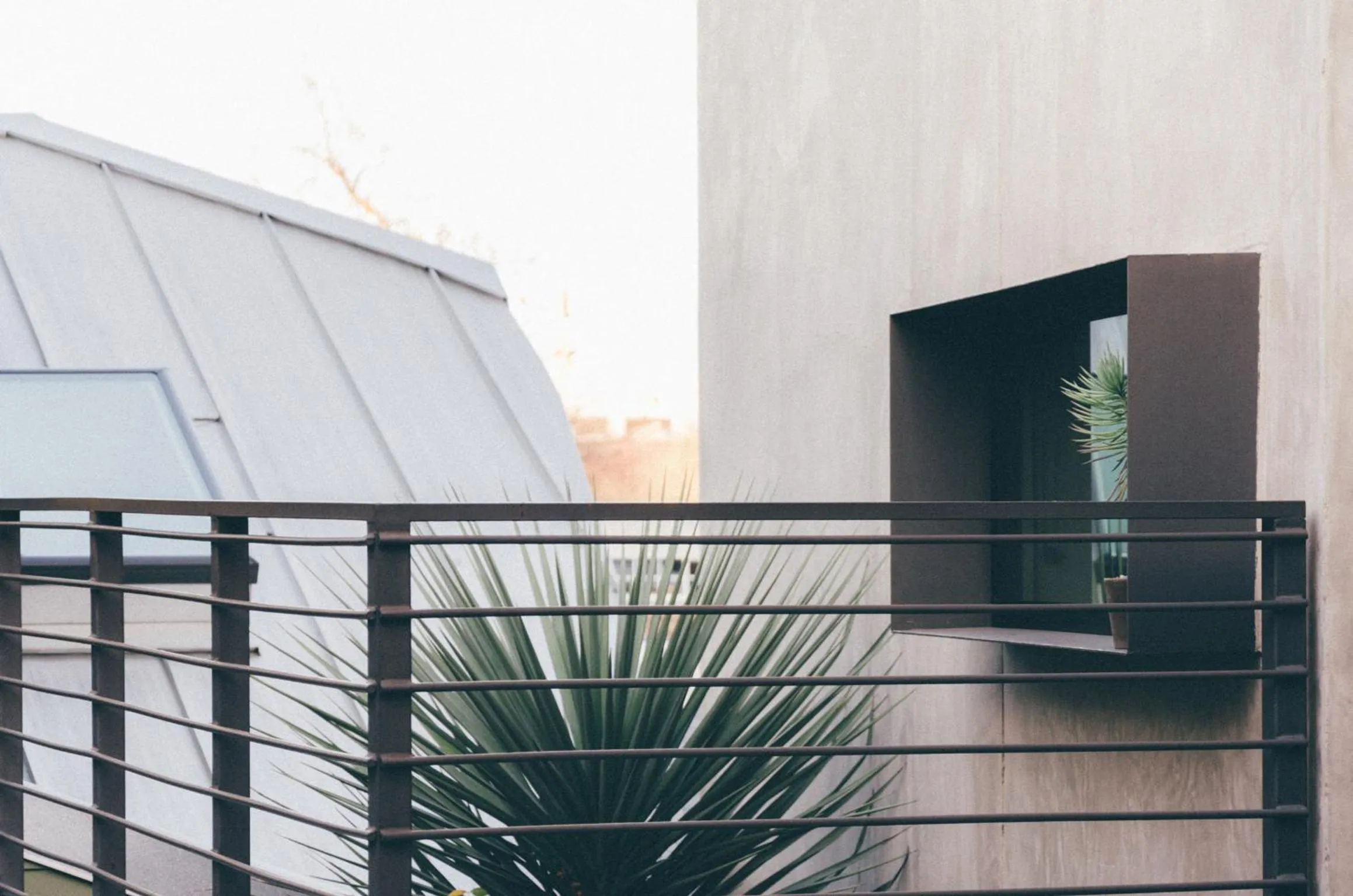 Garden in Heywood Hotel