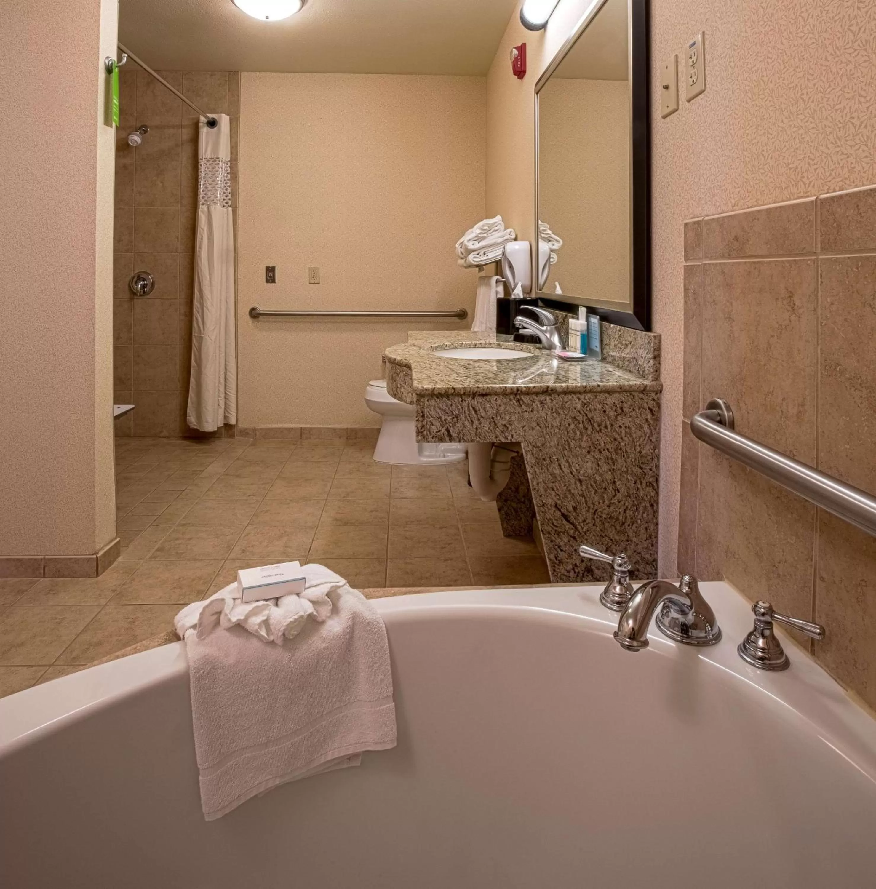 Bathroom in Hampton Inn & Suites Sacramento-Elk Grove Laguna I-5
